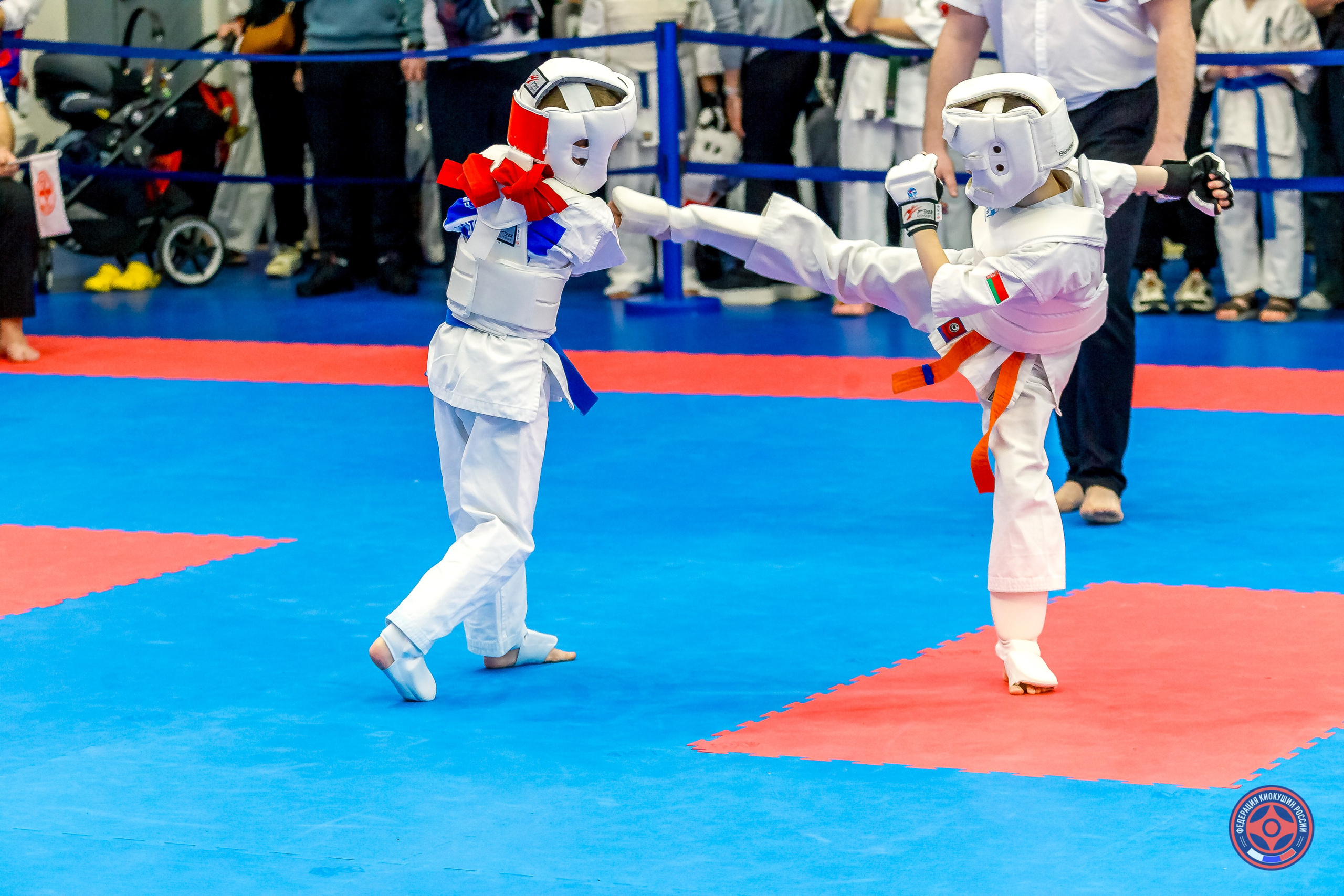 Международный турнир по киокушин «Открытый кубок Seiken». Репортажная съемка в Москве и области. Анималистика