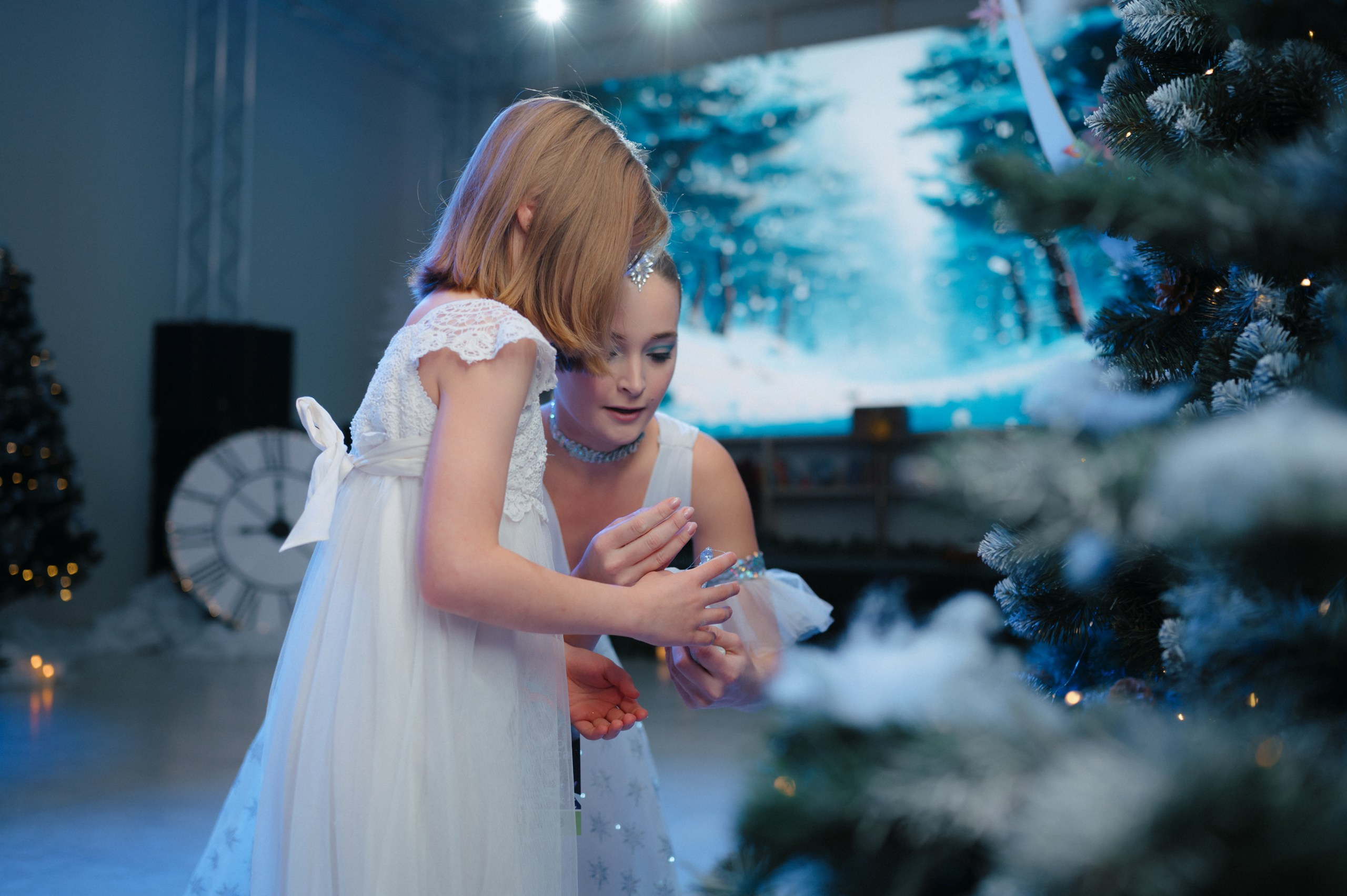 Тайны зимнего леса. Komonev