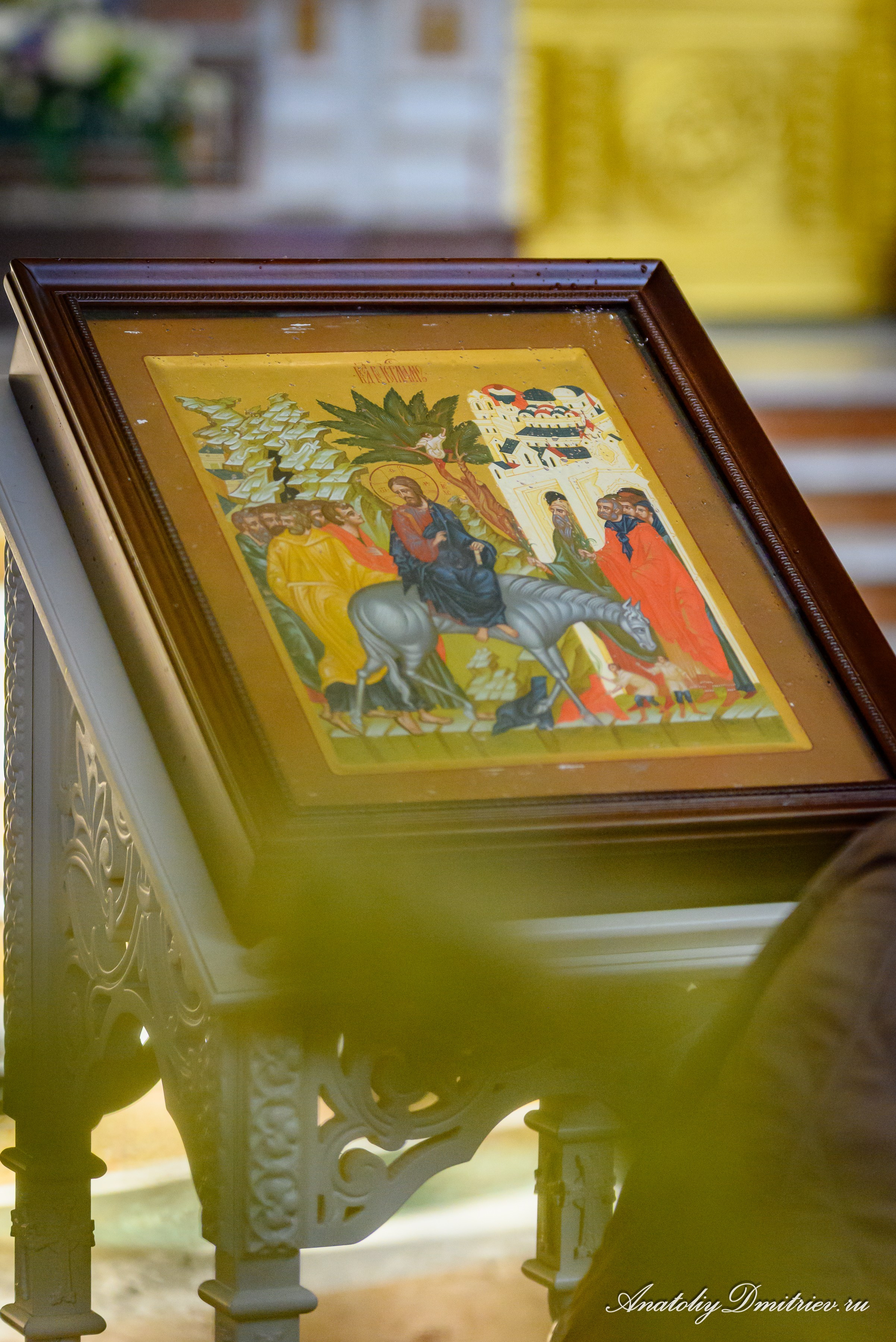 Вербное 2025. Фотограф  Крещения и Венчания Калининград