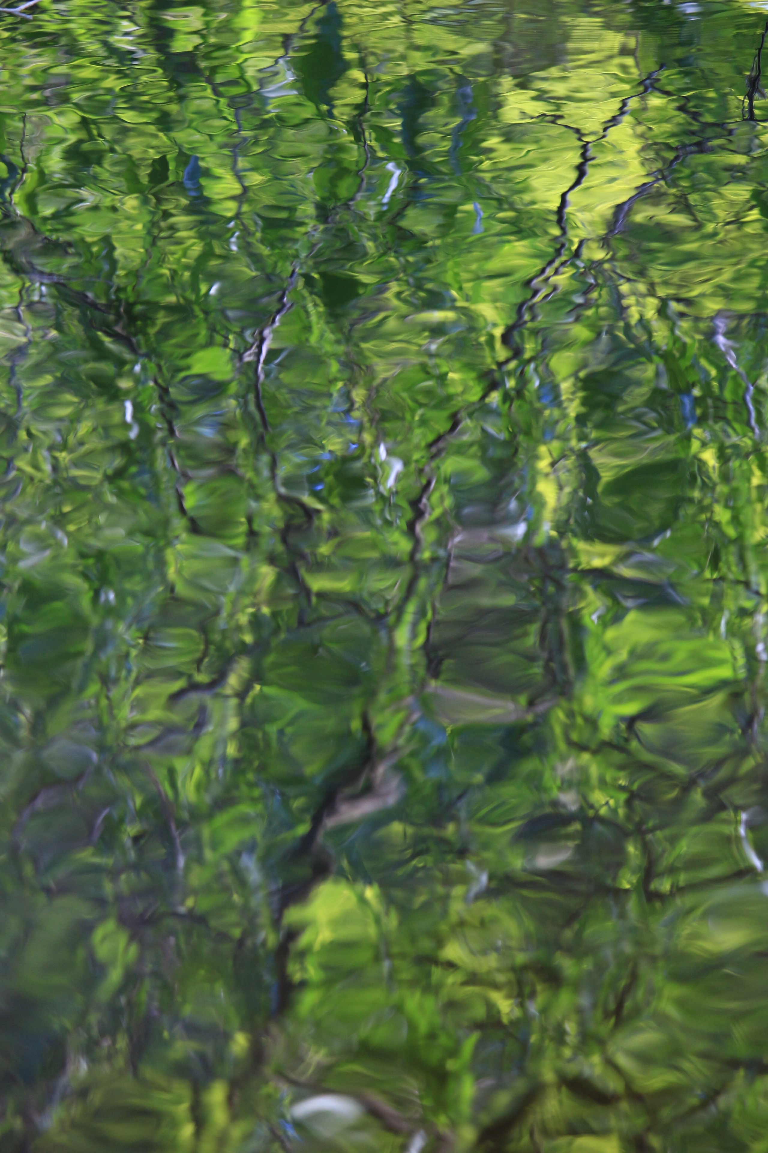 Весна. Катя Цвет