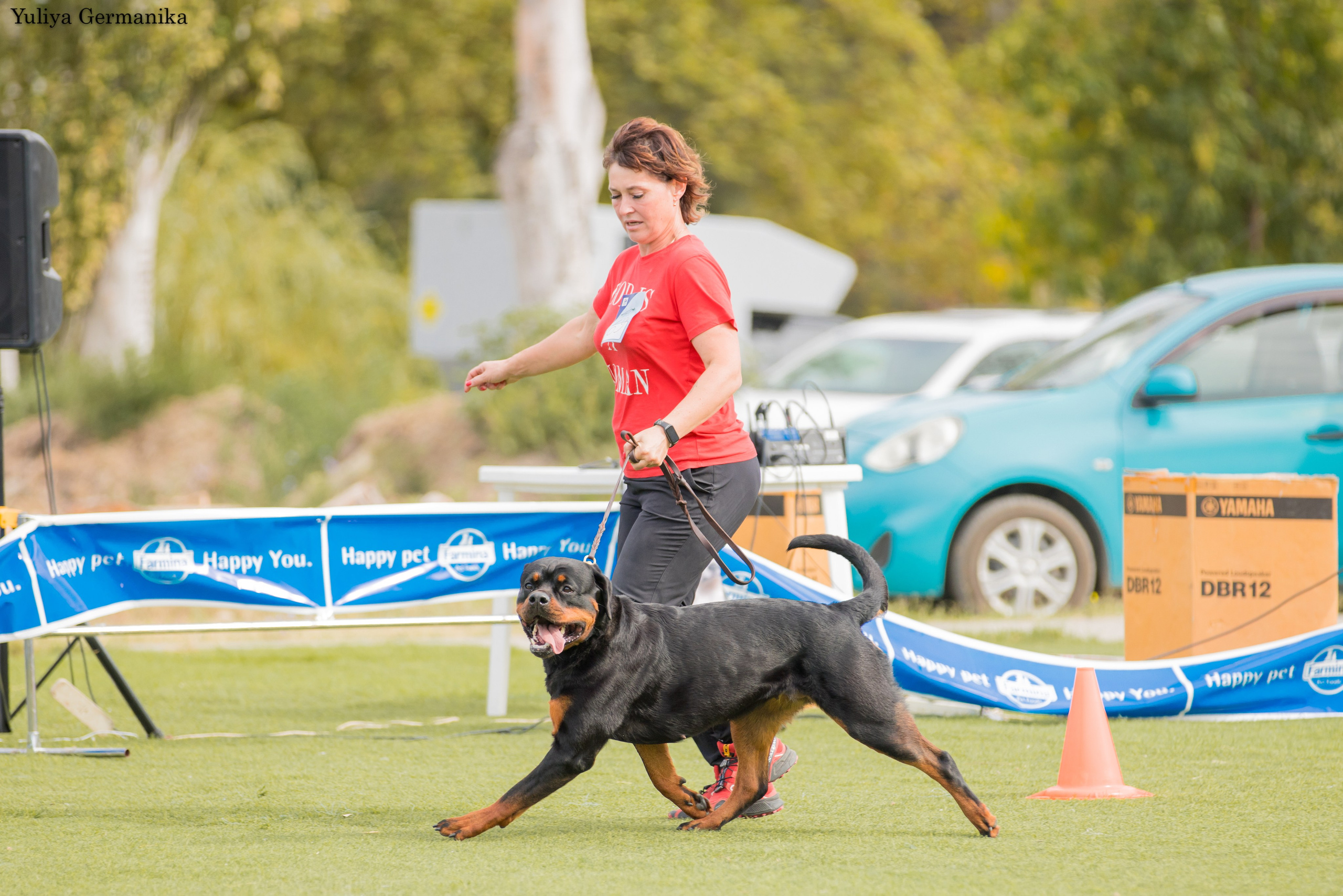Анапа 16-17.09.2023 моно ротвейлеров. Фотограф-анималист Юлия Германика
