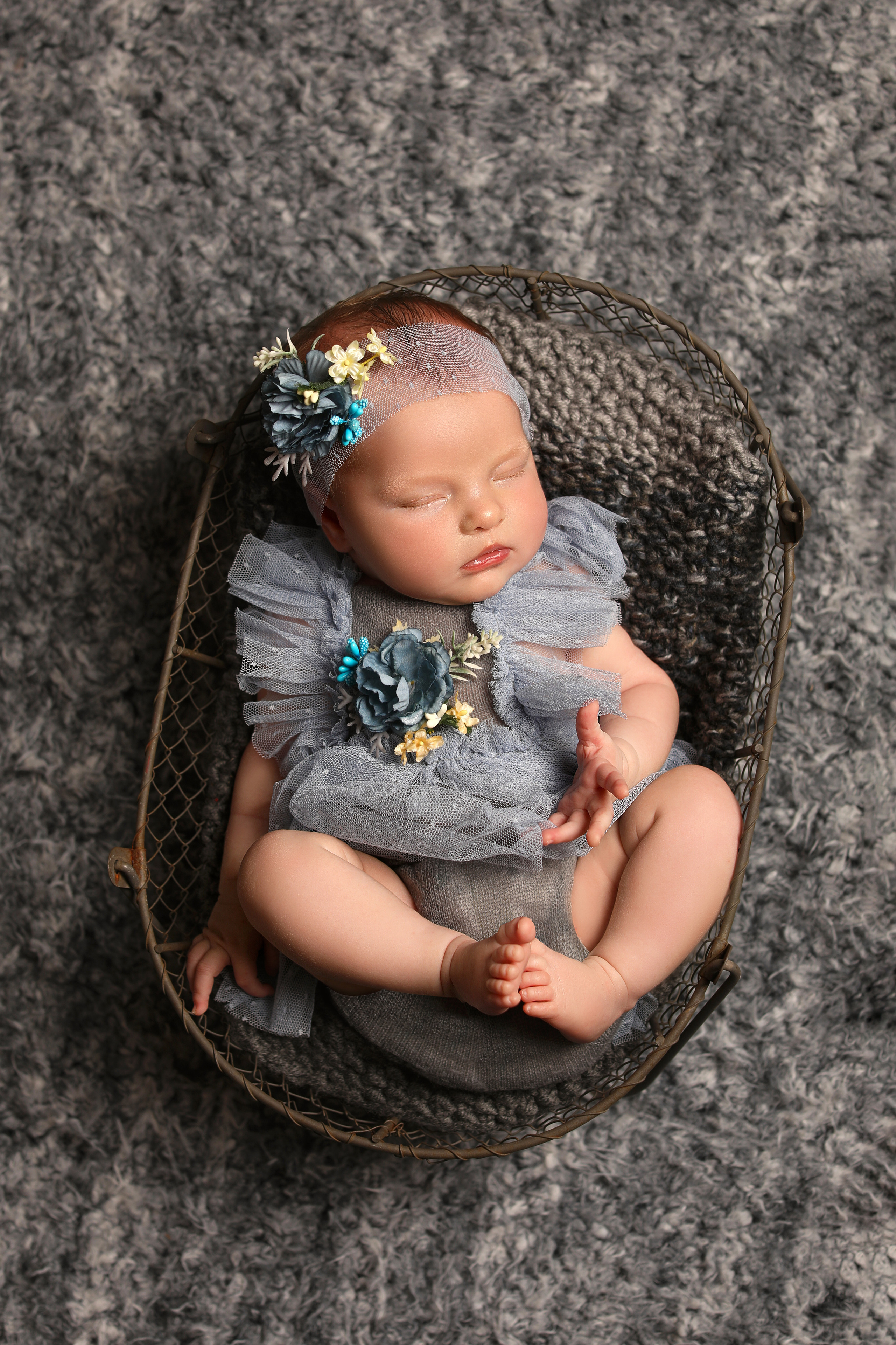 Ассоль — пакет № 3 «ПРЕМИУМ». Фотограф новорожденных в г. Великий Новгород — Екатерина Новикова