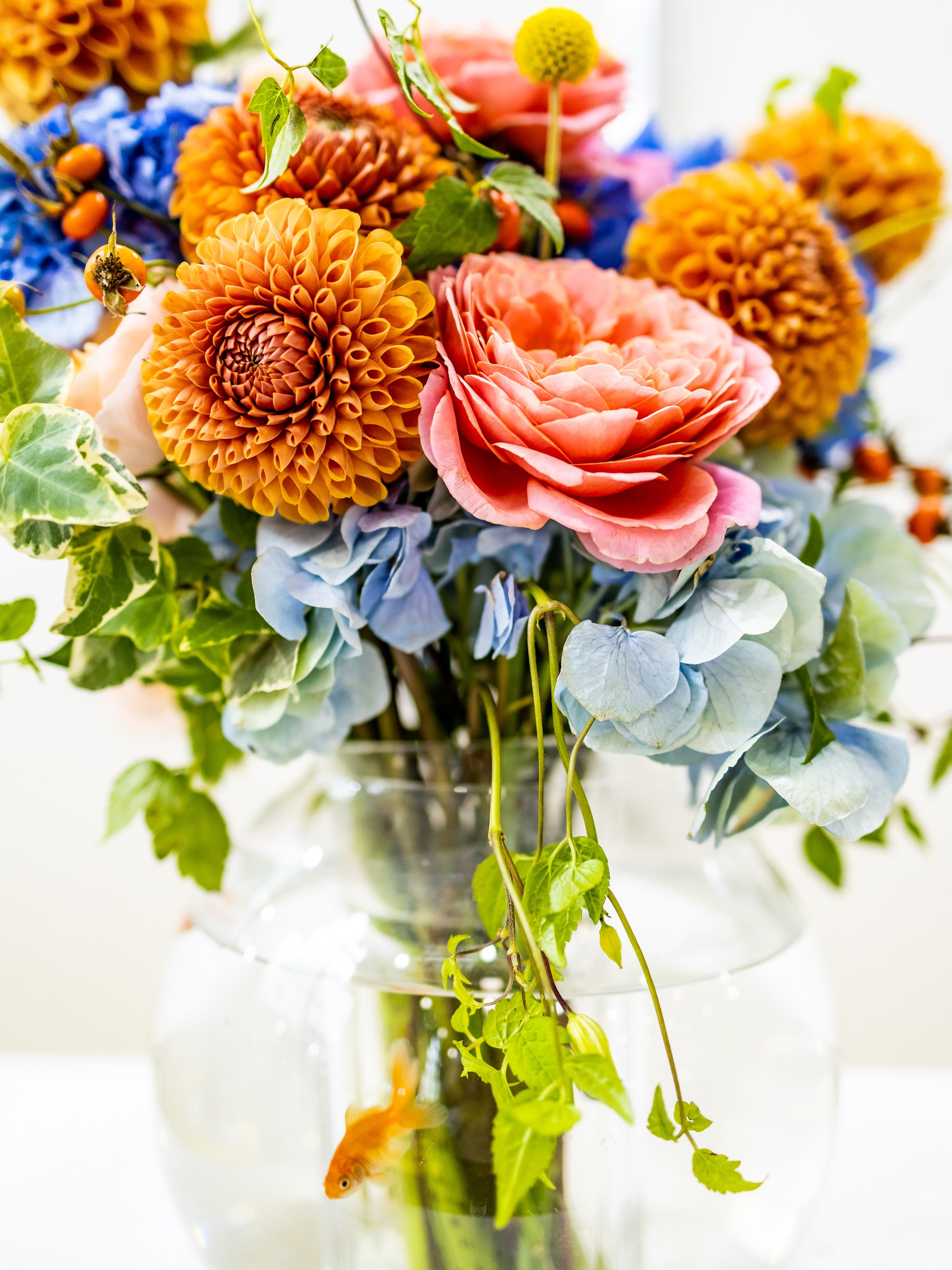 Цветы-Экспо 2024. Фотосессии и репортаж — Фотограф в Москве — Рина Серёгина