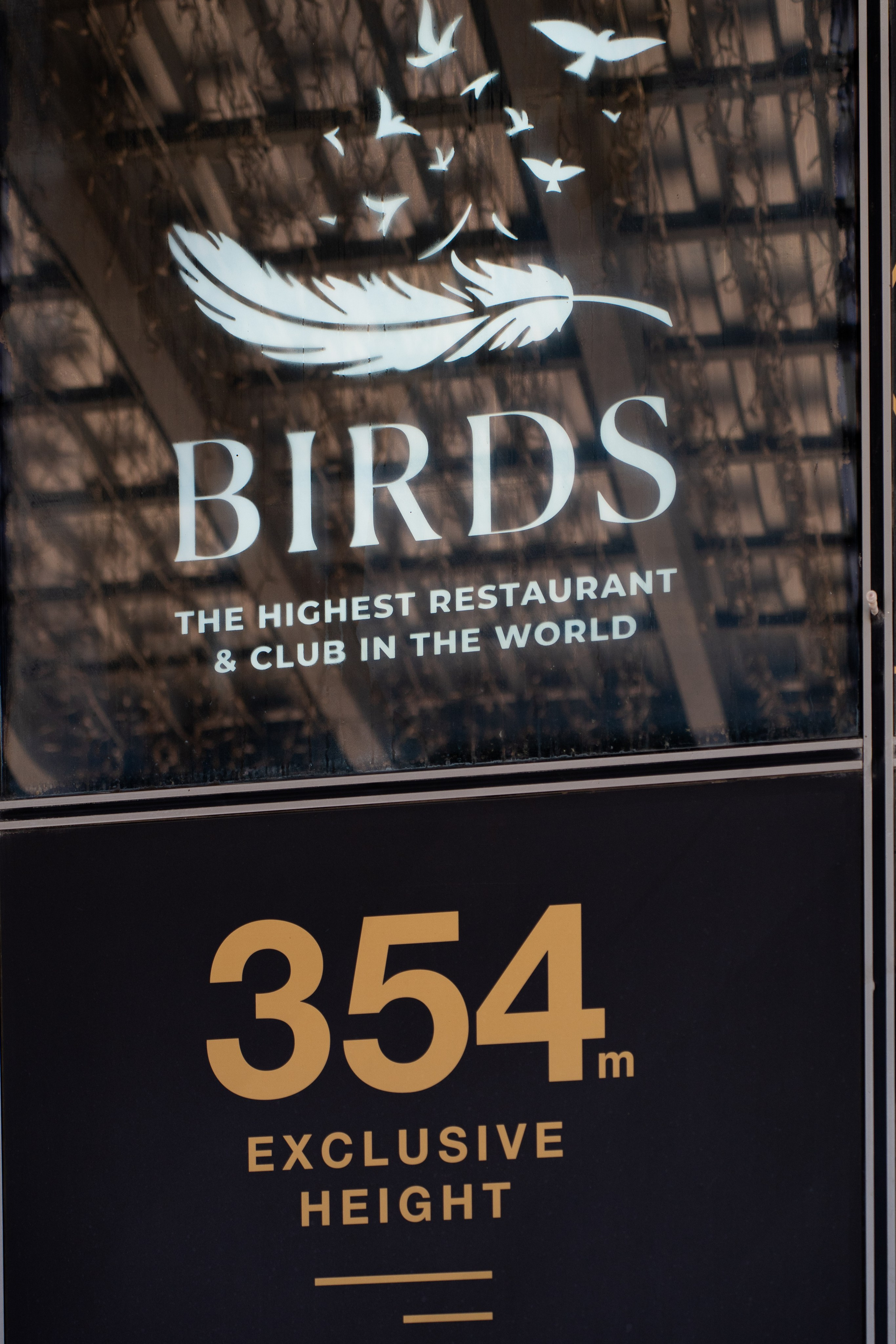 Роспись в ресторане "Birds" в башне Око Москва Фотограф