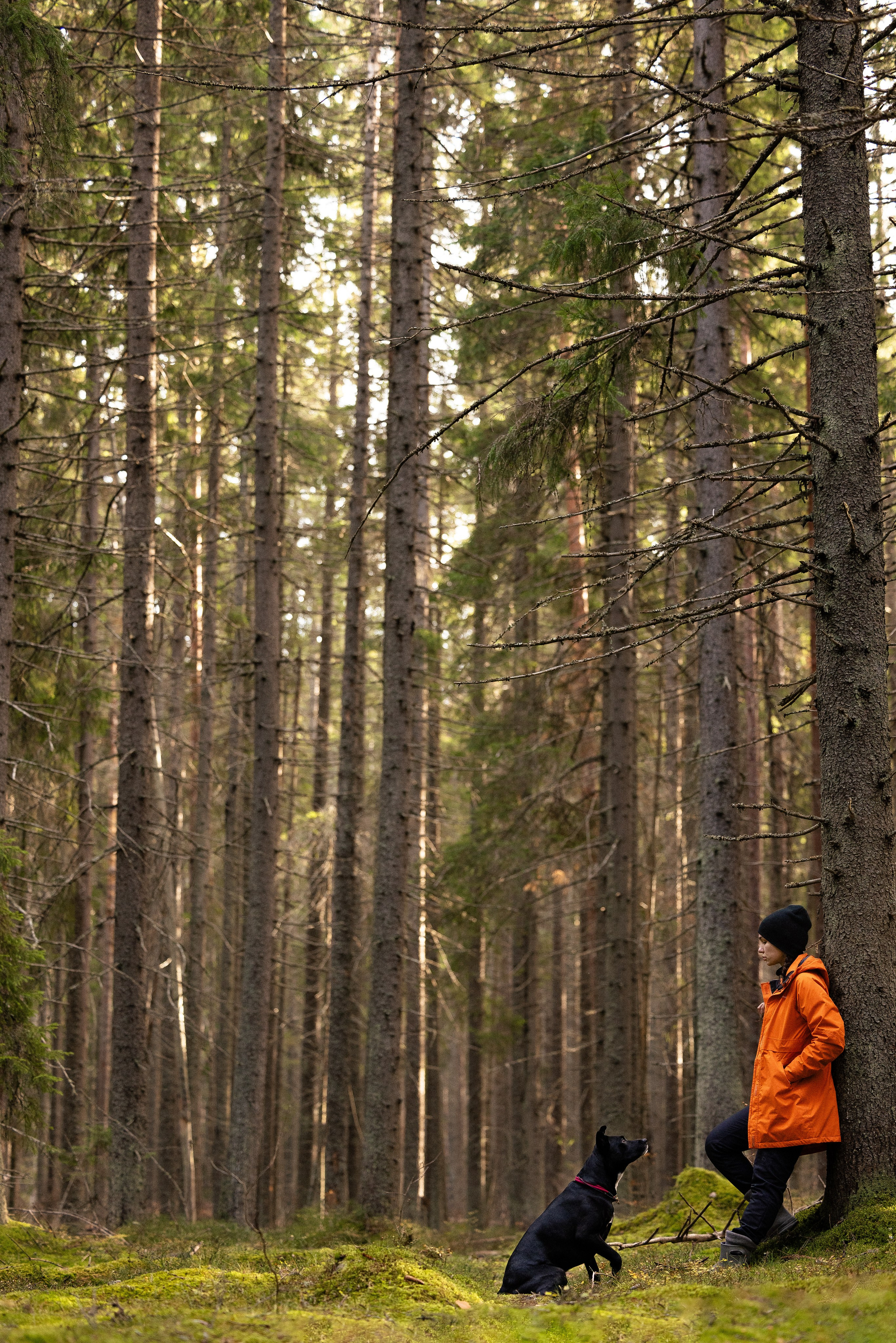 Karelia. Фотограф и видеограф анималист Аганина Дарья