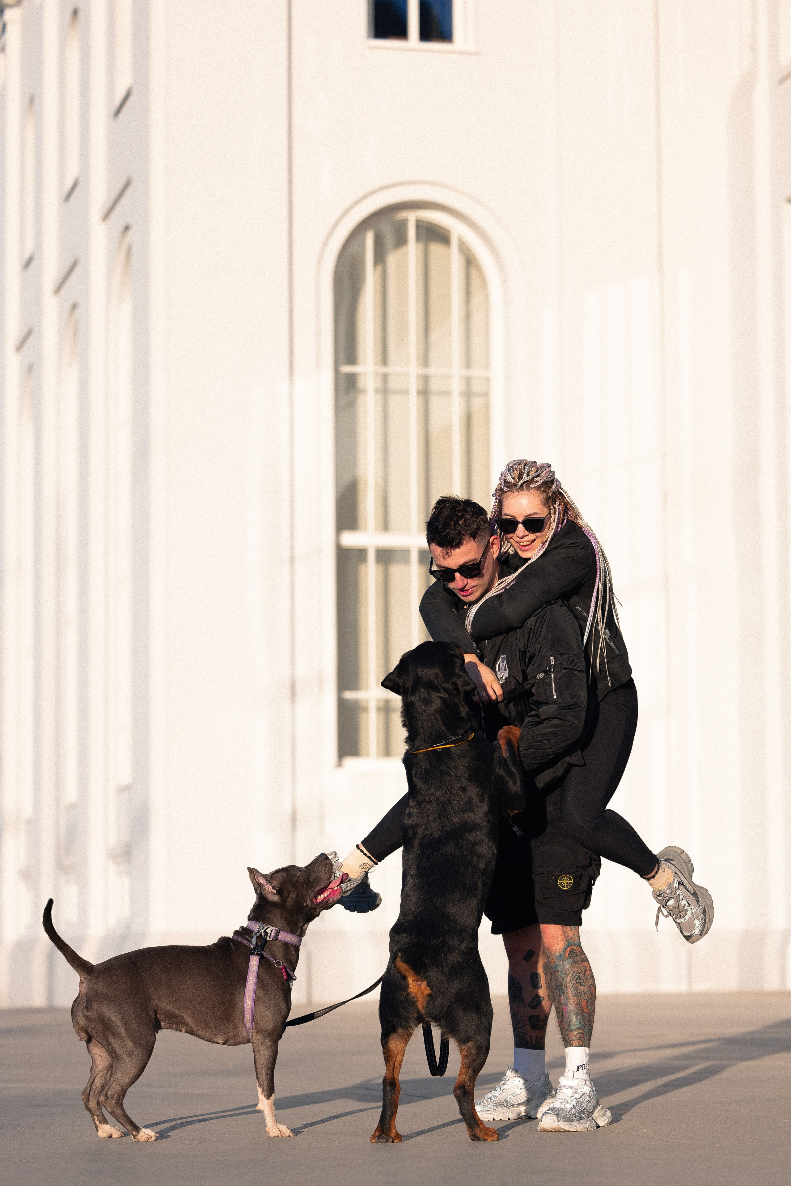 Катя, Леша, Трой и Лея. Фотограф и видеограф анималист Аганина Дарья