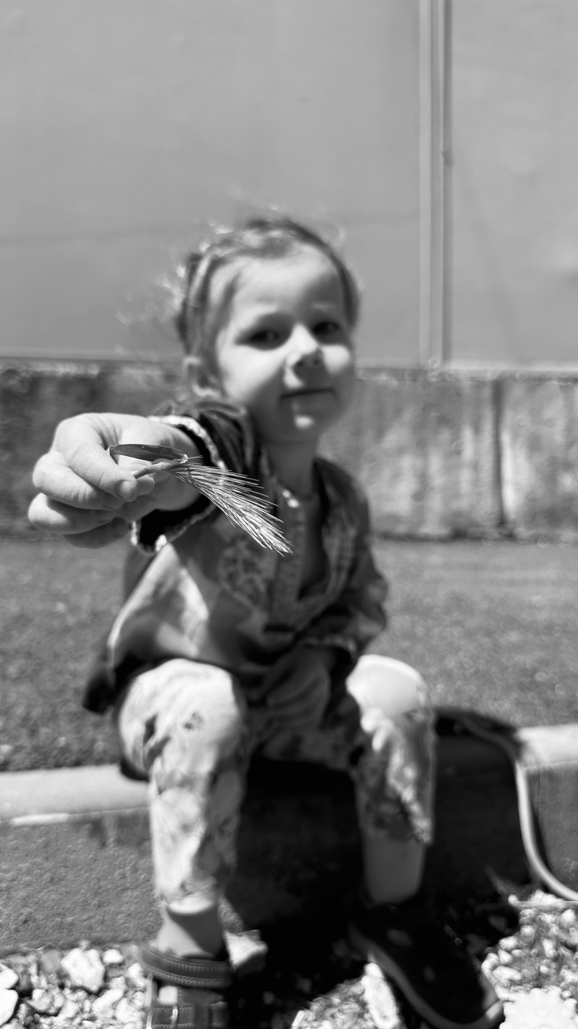 Дети. Смотри, красота!