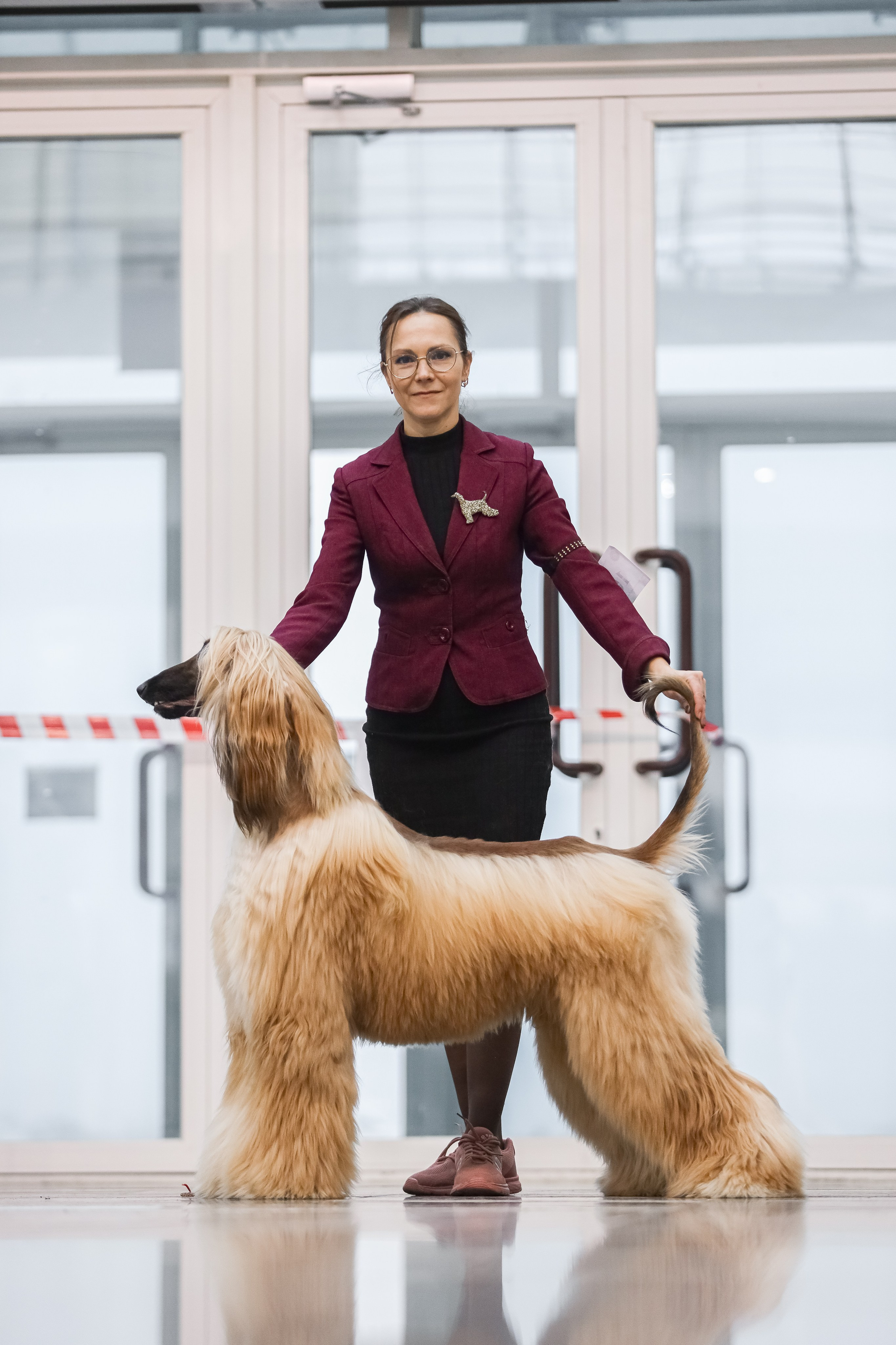 Международная выставка собак СACIB FCI 29-30.11.2025. Галерея фотографий афганской борзой