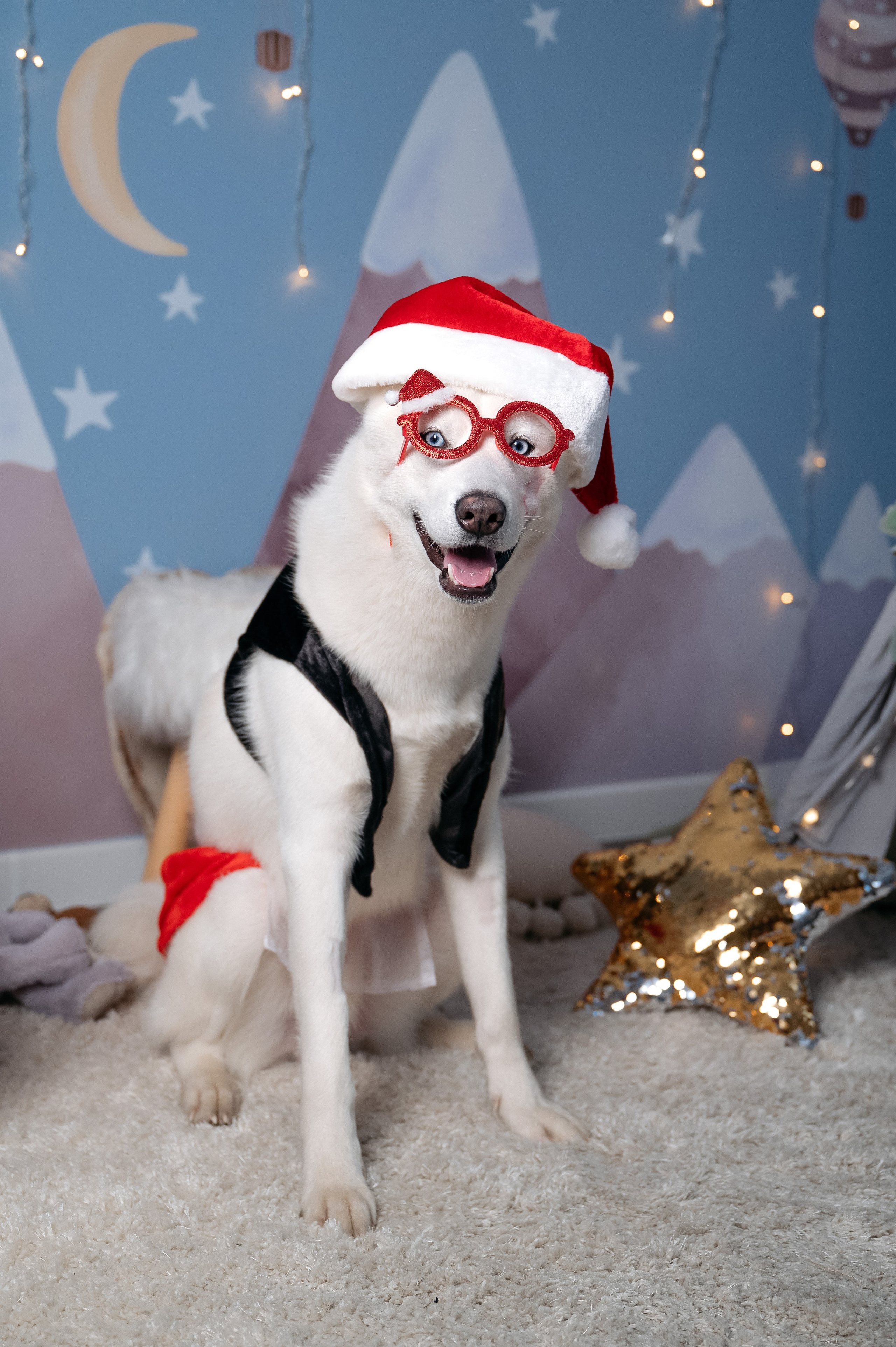 Дарья. Ваш фотограф в г. Петропавловске-Камчатском Арина Алексеева