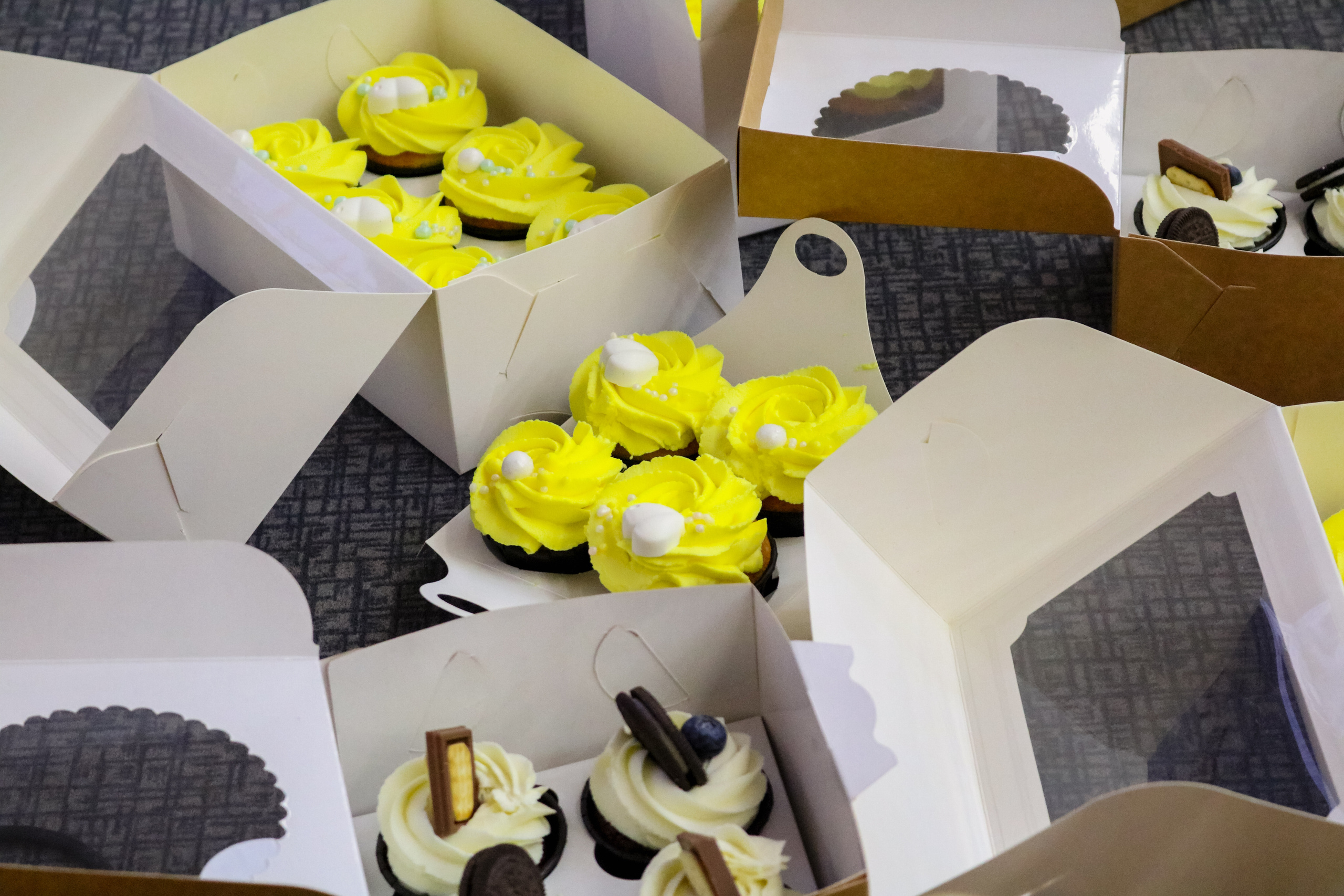 Репортажная съемка проекта "Территория абитуриентов" 2022. Фотоаппарат: Canon 550D. Объектив: Canon EF-S 18-55mm f/3.5-5.6 IS STM