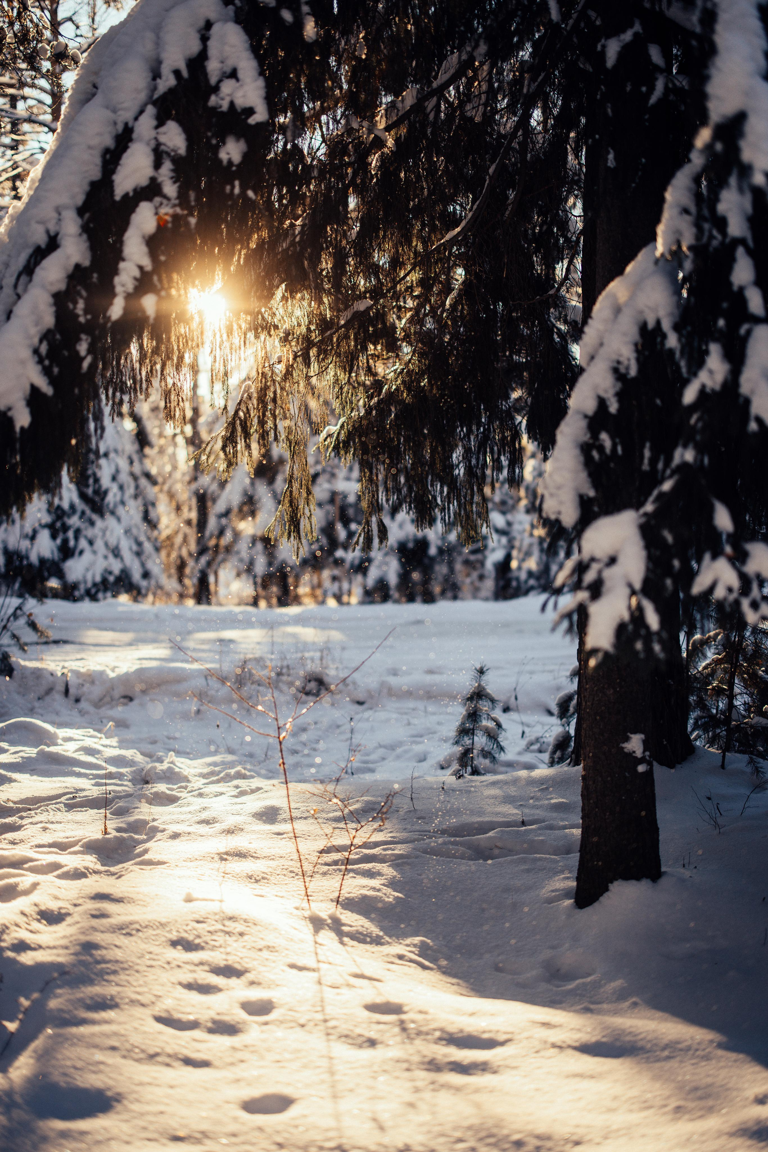 Морозный денёк. Портретный арт-фотограф в Екатеринбурге Алена Нестерова