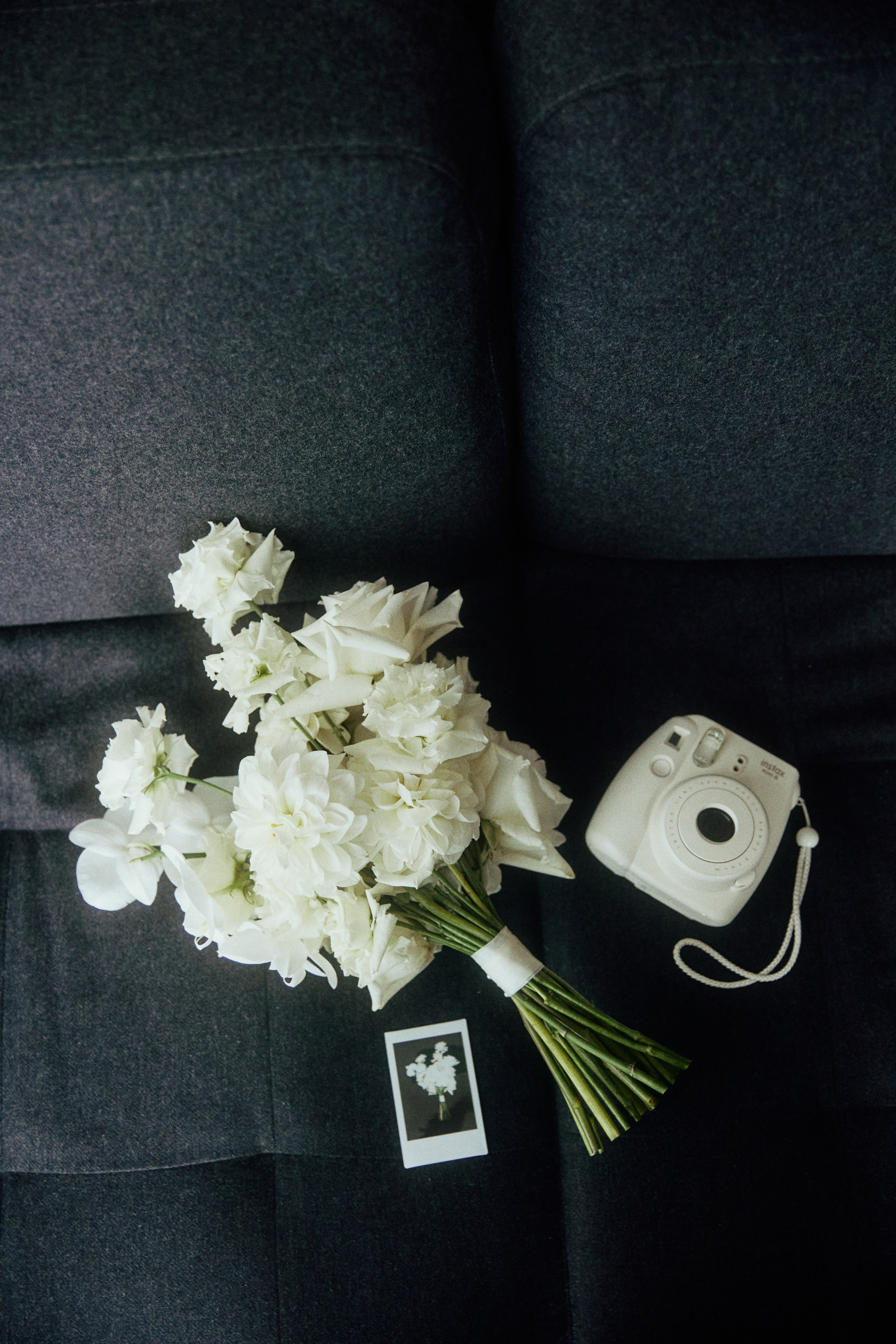 A NEW FAMILY TREE. Дмитрий Мазуркевич: Профессиональный Репортажный Фотограф