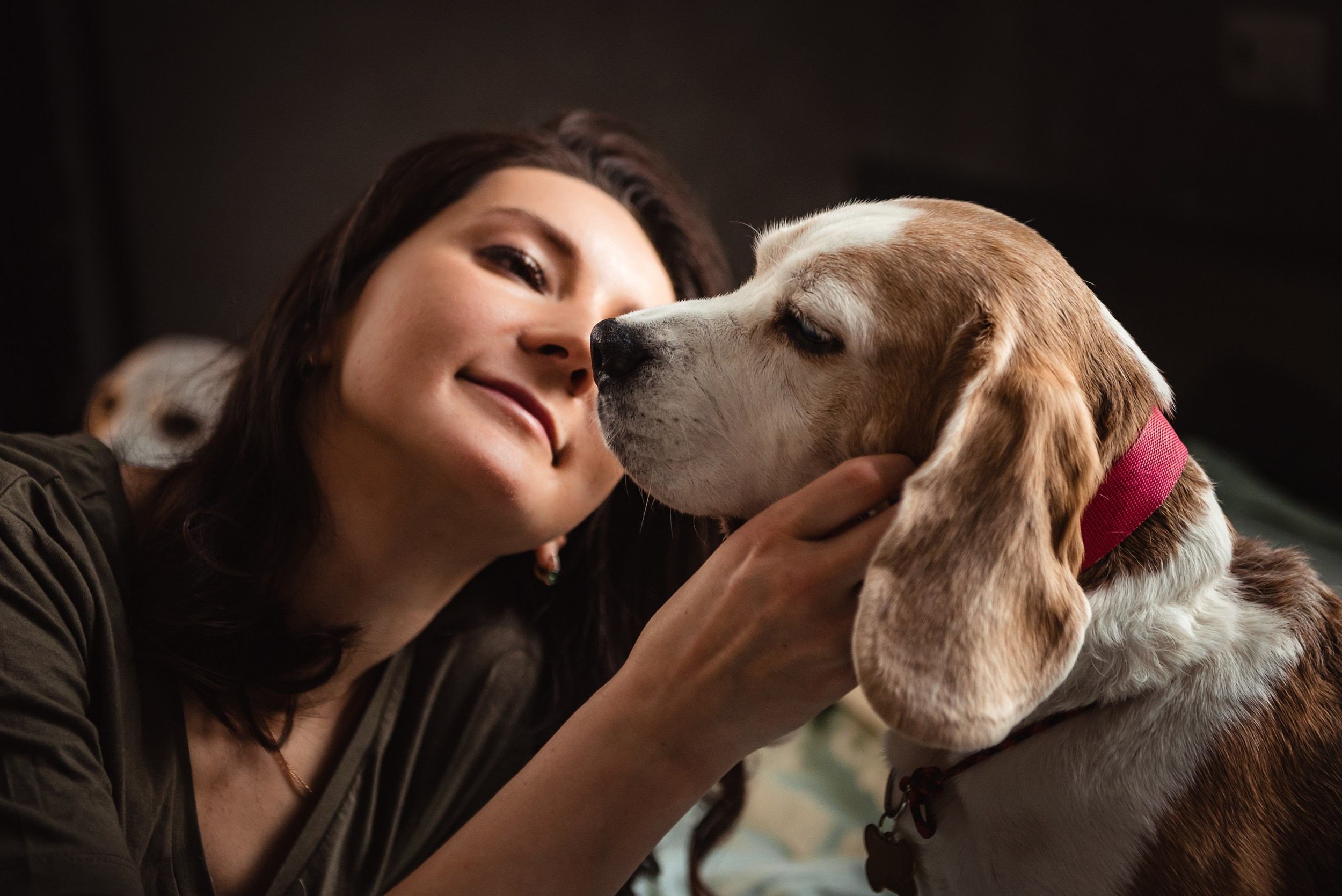 Оля, бигли и семья. Семейный Фотограф в Москве Ирина Хохлова
