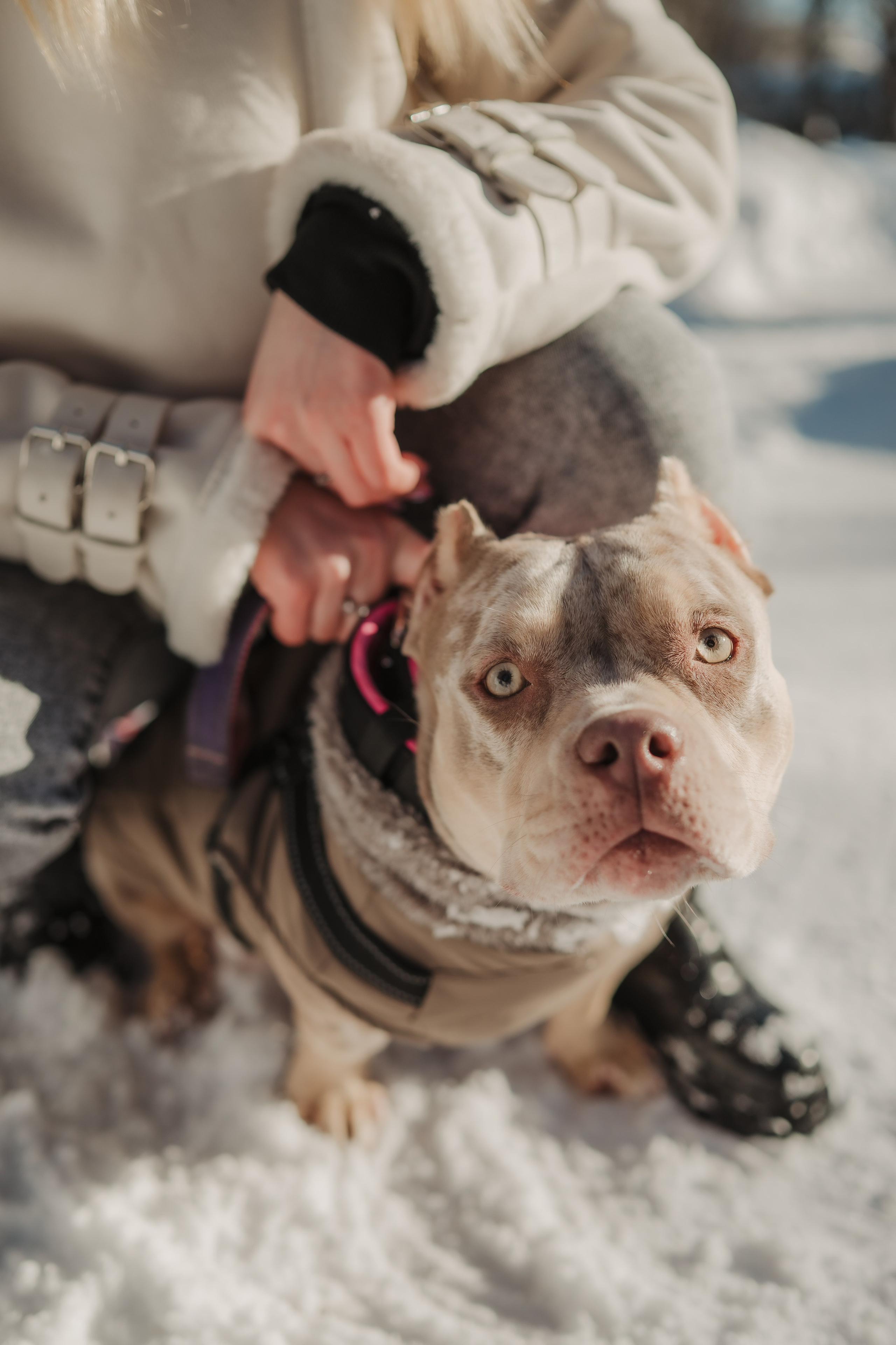 Зимняя LOVE STORY Вики, Артёма и Булочки. Семейный Фотограф в Москве Ирина Хохлова