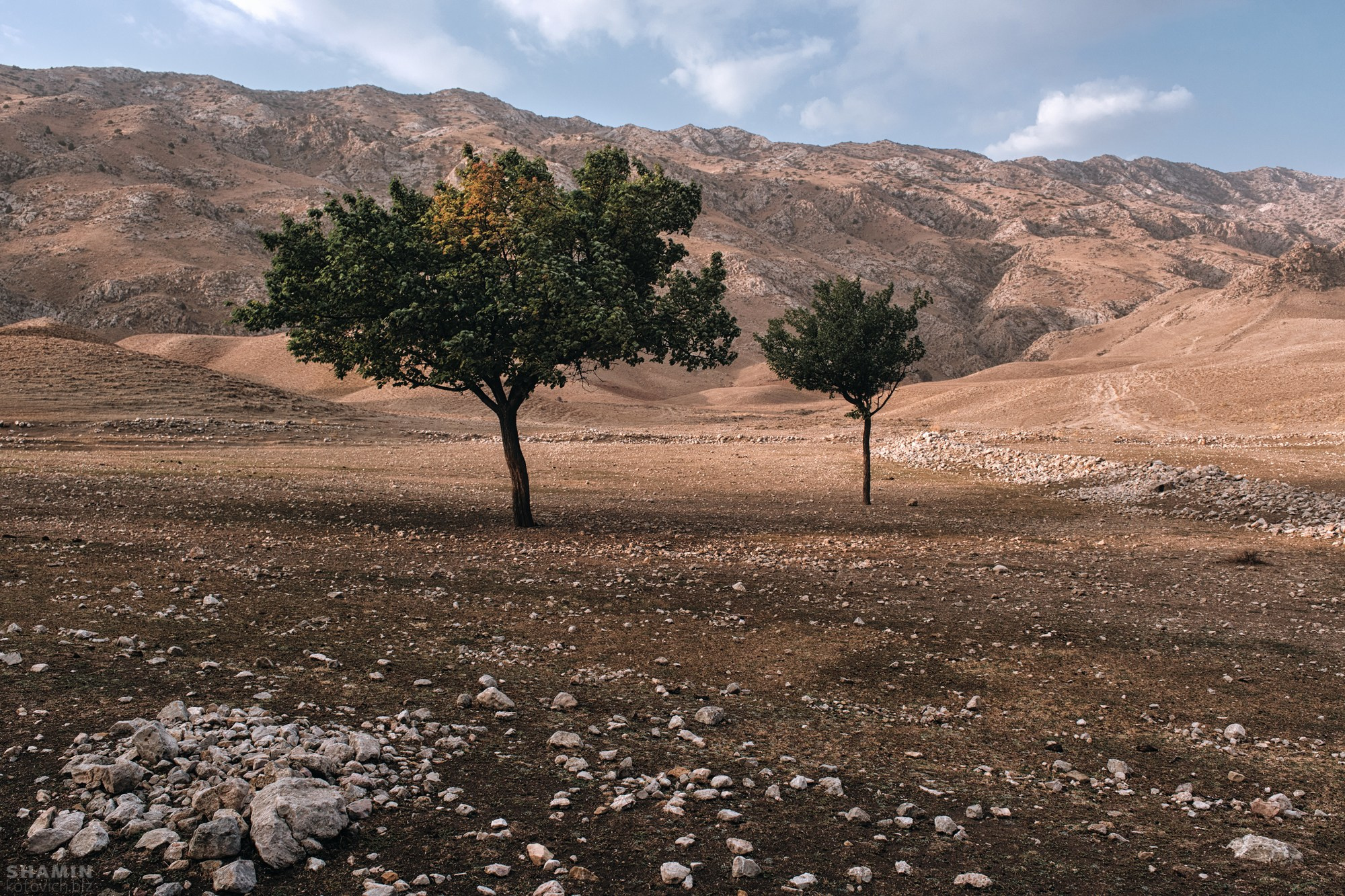 Кыргызстан лето 2026 | Фотограф Дмитрий Купрацевич. Дмитрий Купрацевич профессиональный пейзажный и travel-фотограф