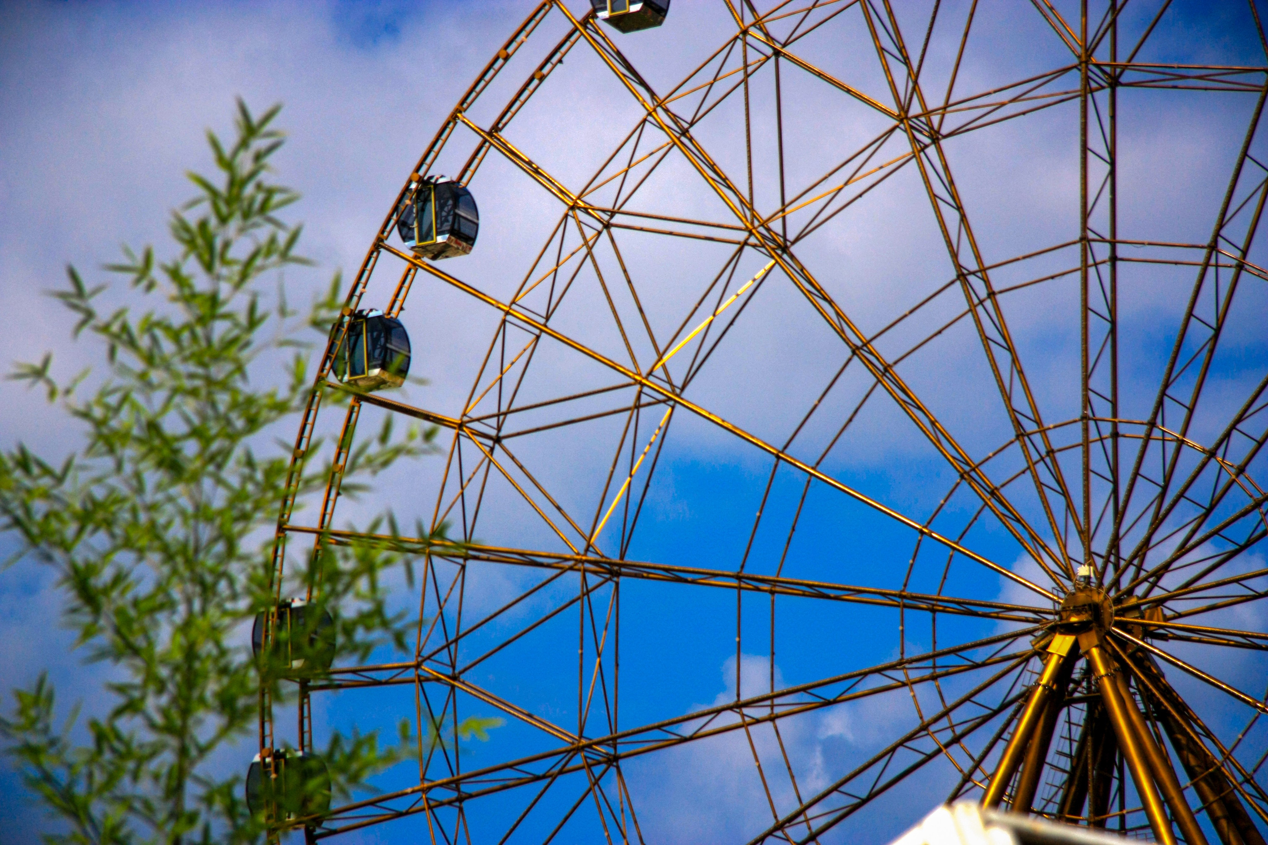 Первые кадры. Сочи — парк. Фотограф Роман Адлер