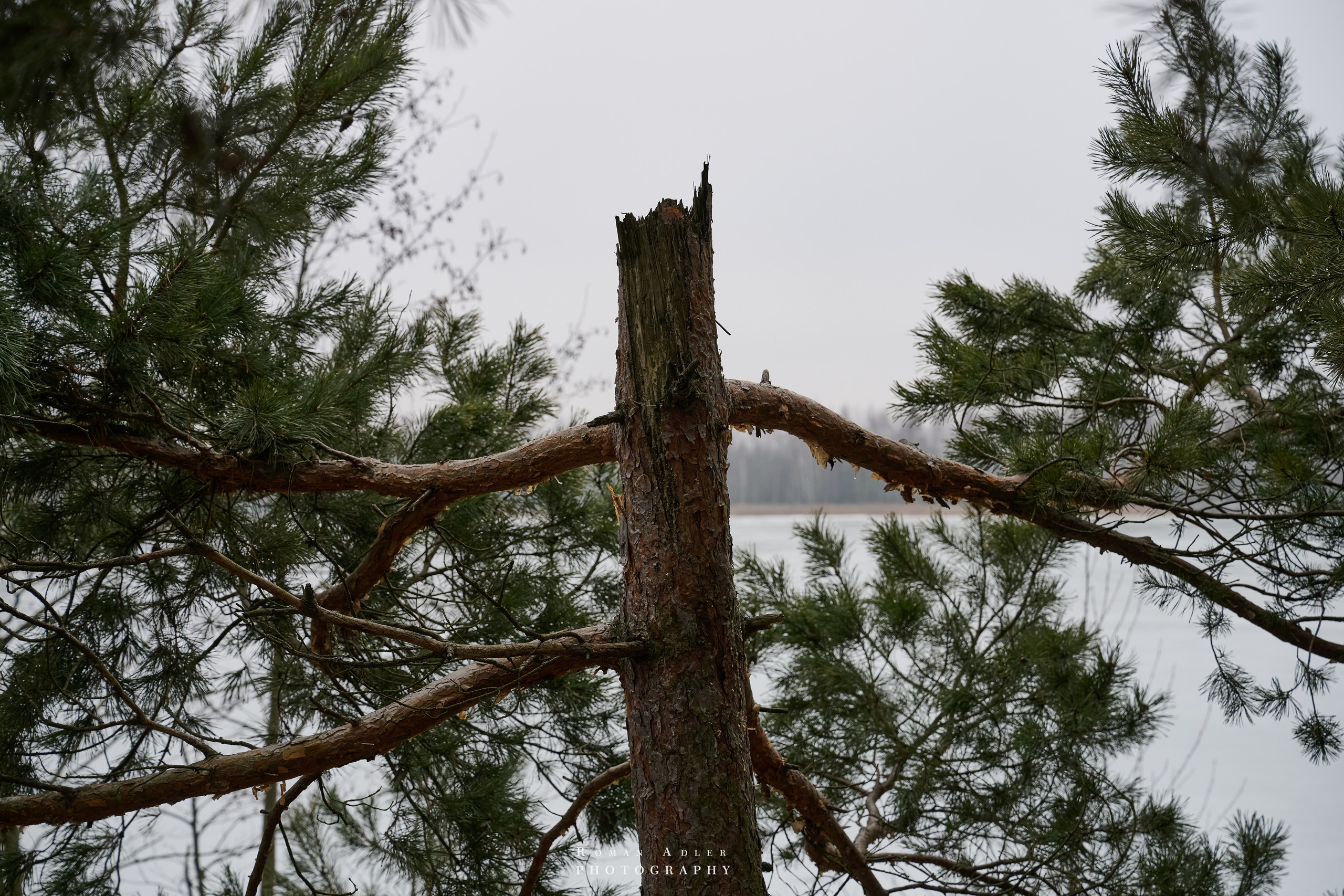 Место силы…. Фотограф Роман Адлер