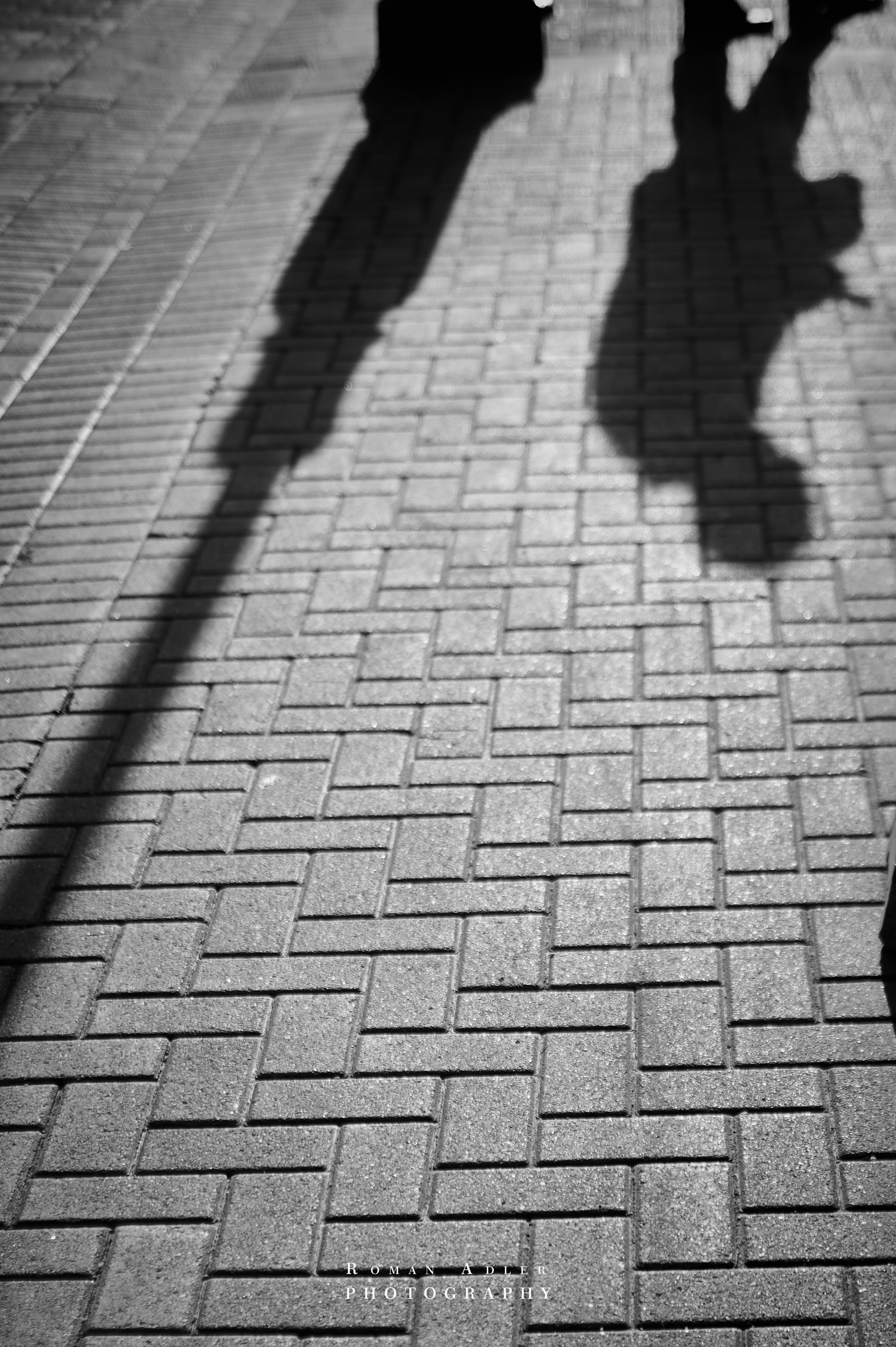 Carpe Diem 2026. Весна. Фотограф Роман Адлер