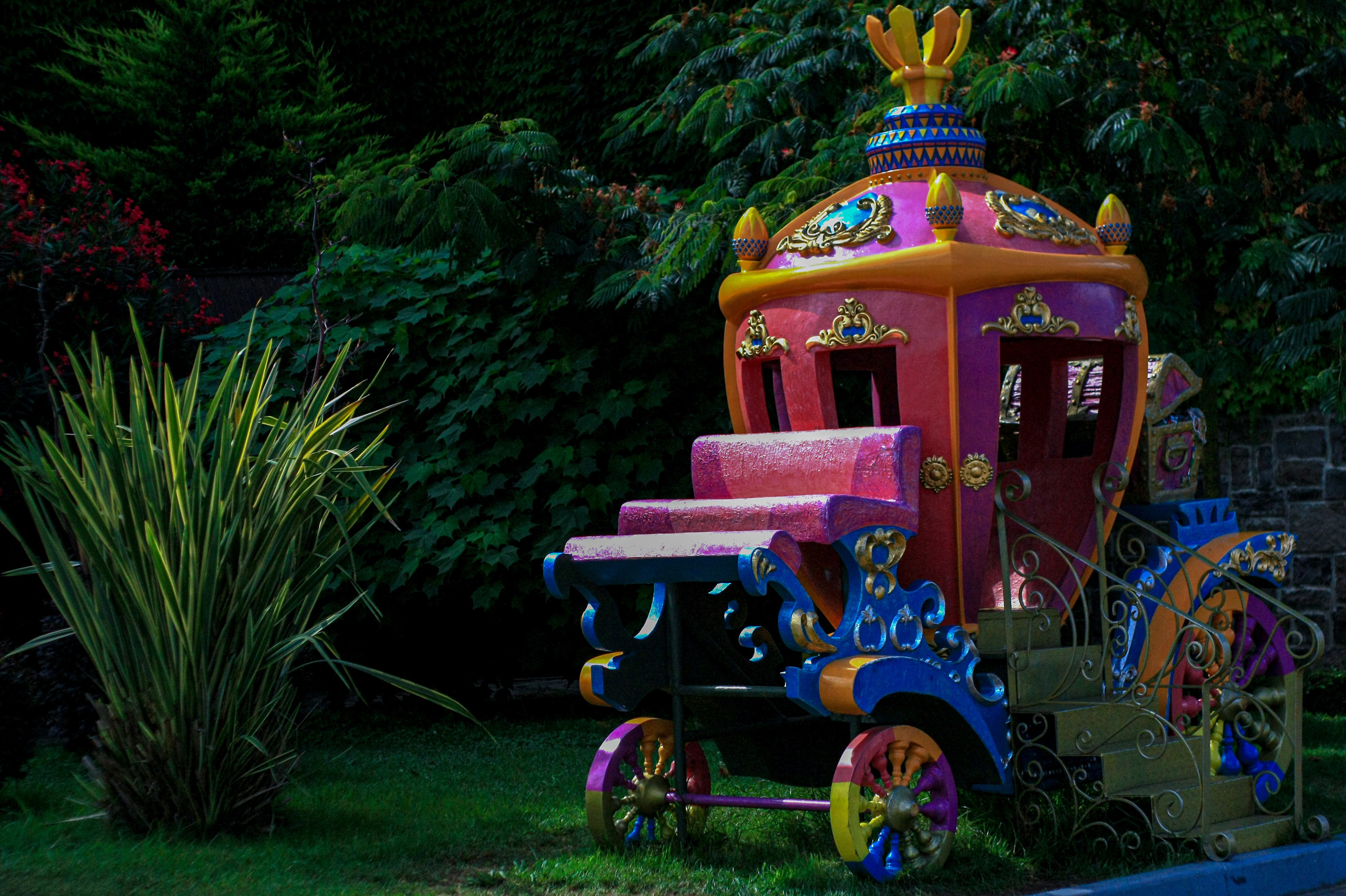 Первые кадры. Сочи — парк. Фотограф Роман Адлер