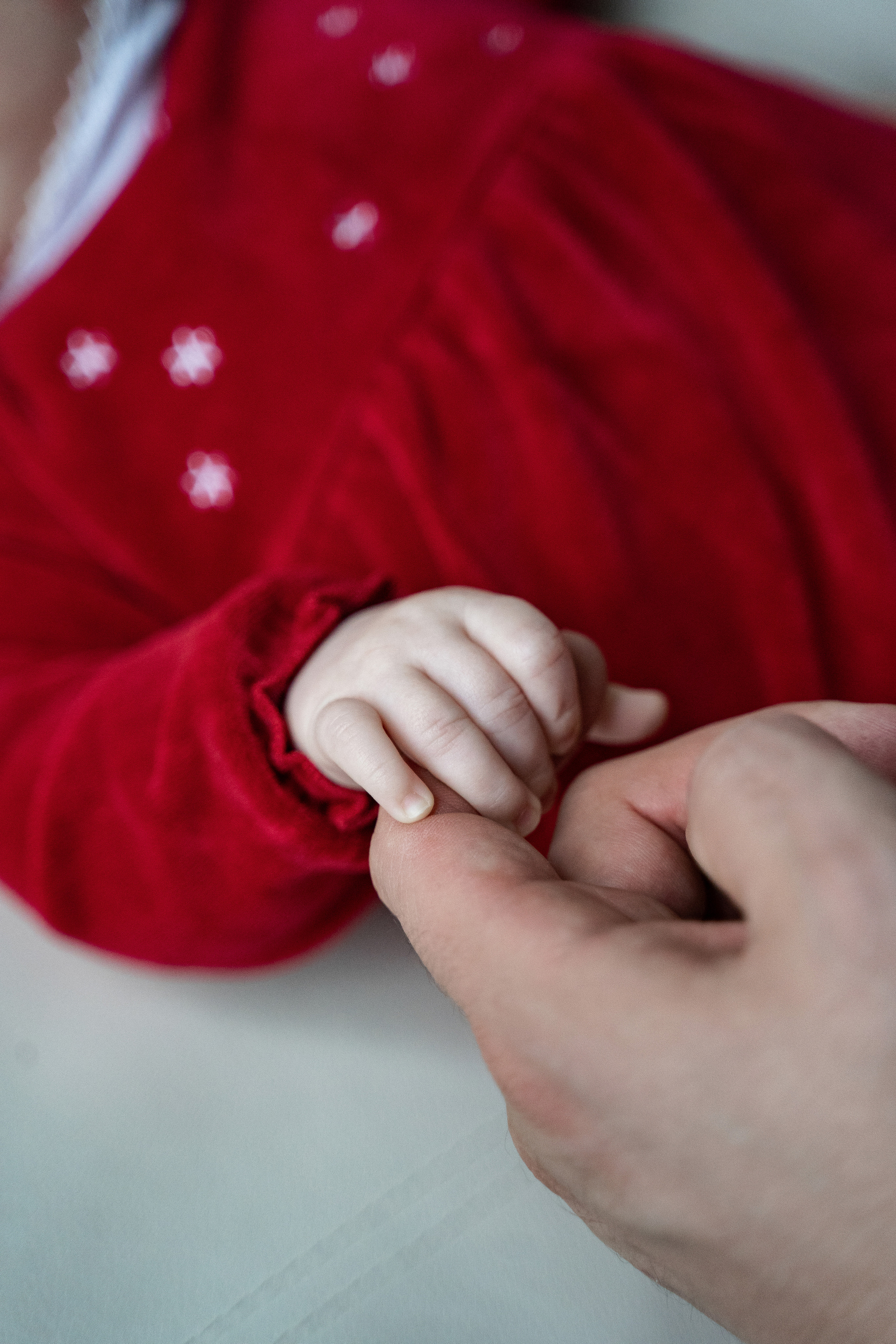 Семейный. Контентный и семейный фотограф Анна Маслова