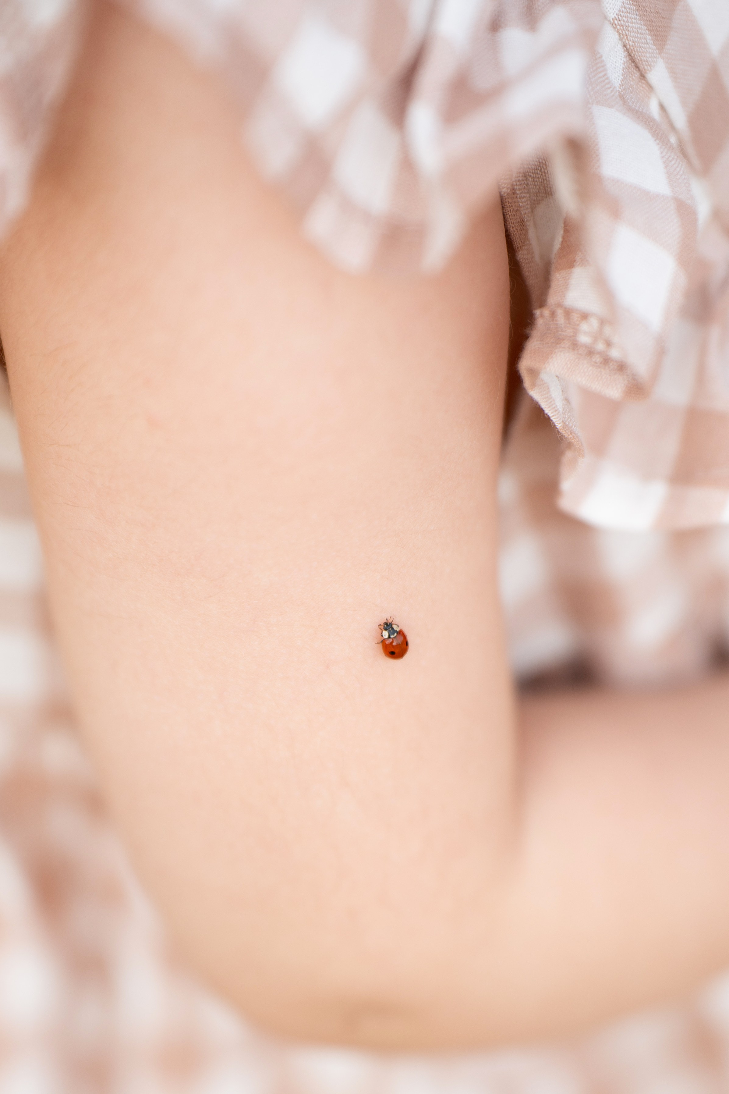 Семейные. Главная