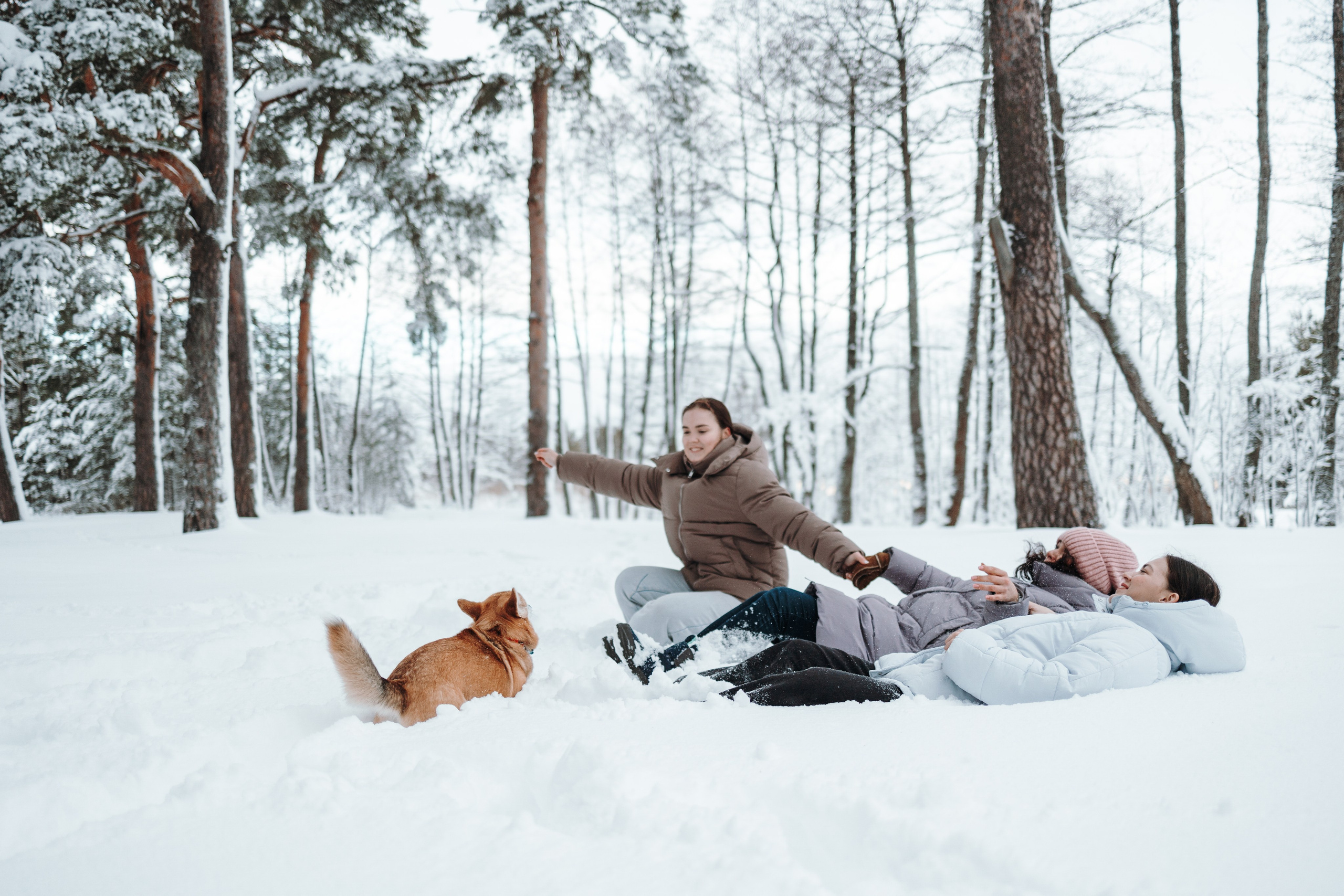 Оливка и ее семья. Фотограф — Анималист | Санкт-Петербург