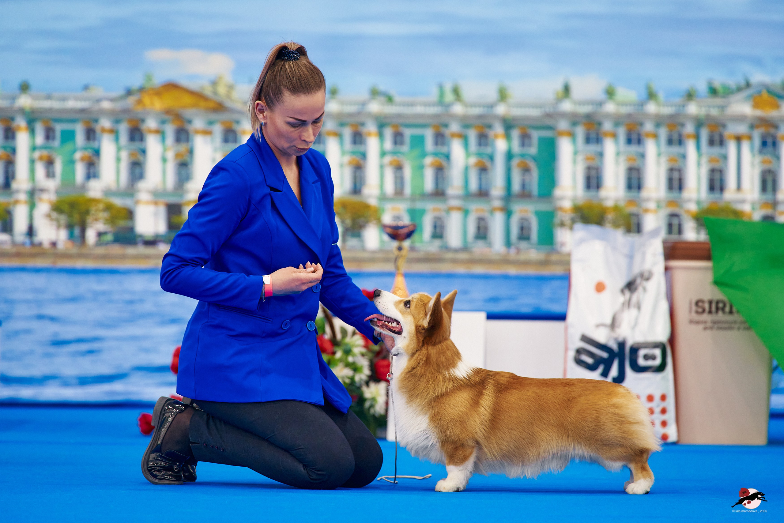 27.04.2025 | "Петербург-Элита 2025" & «КУБОК «ЭЛИТЫ»-2025»