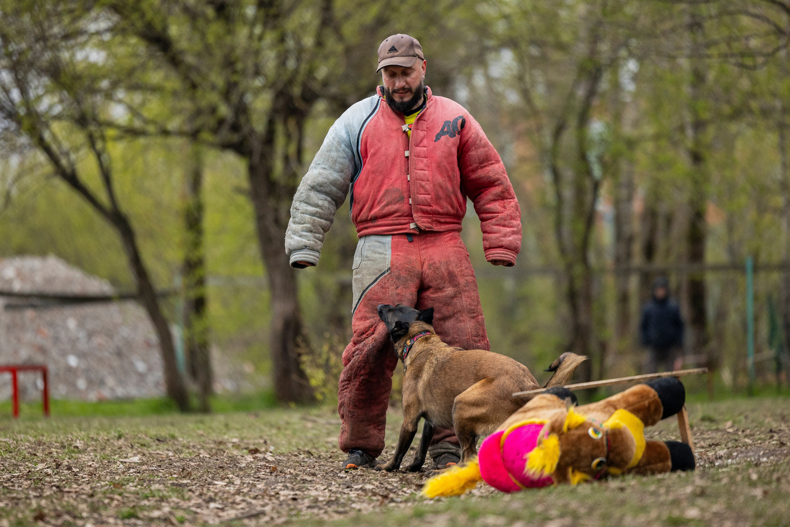 Квалификационные состязания по мондьорингу г. Вологда 11.05.24. Фотограф-анималист Анна Маринич