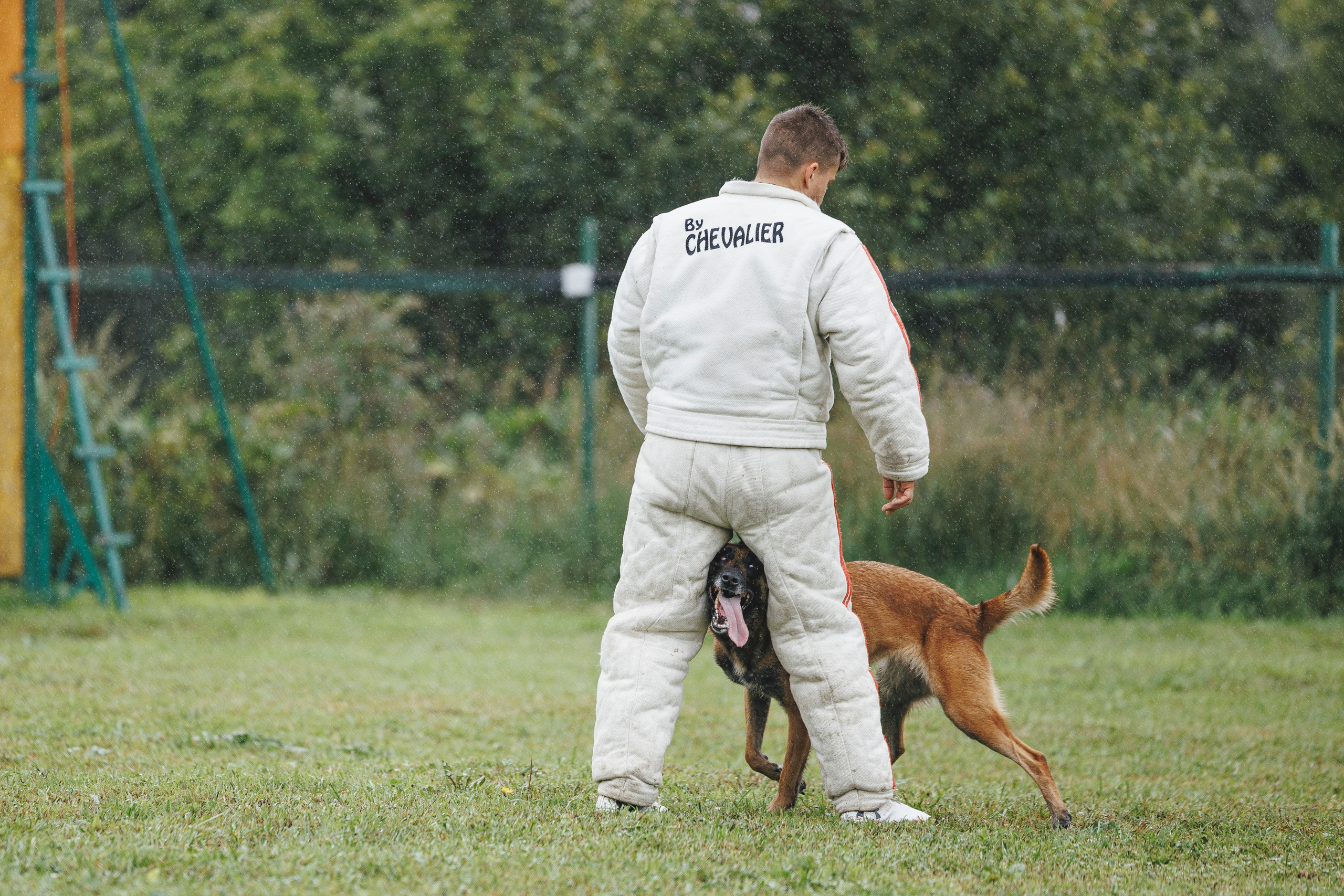 08.08.25-10.08.25 ЧР по мондьорингу г. Вологда. Фотограф-анималист Анна Маринич