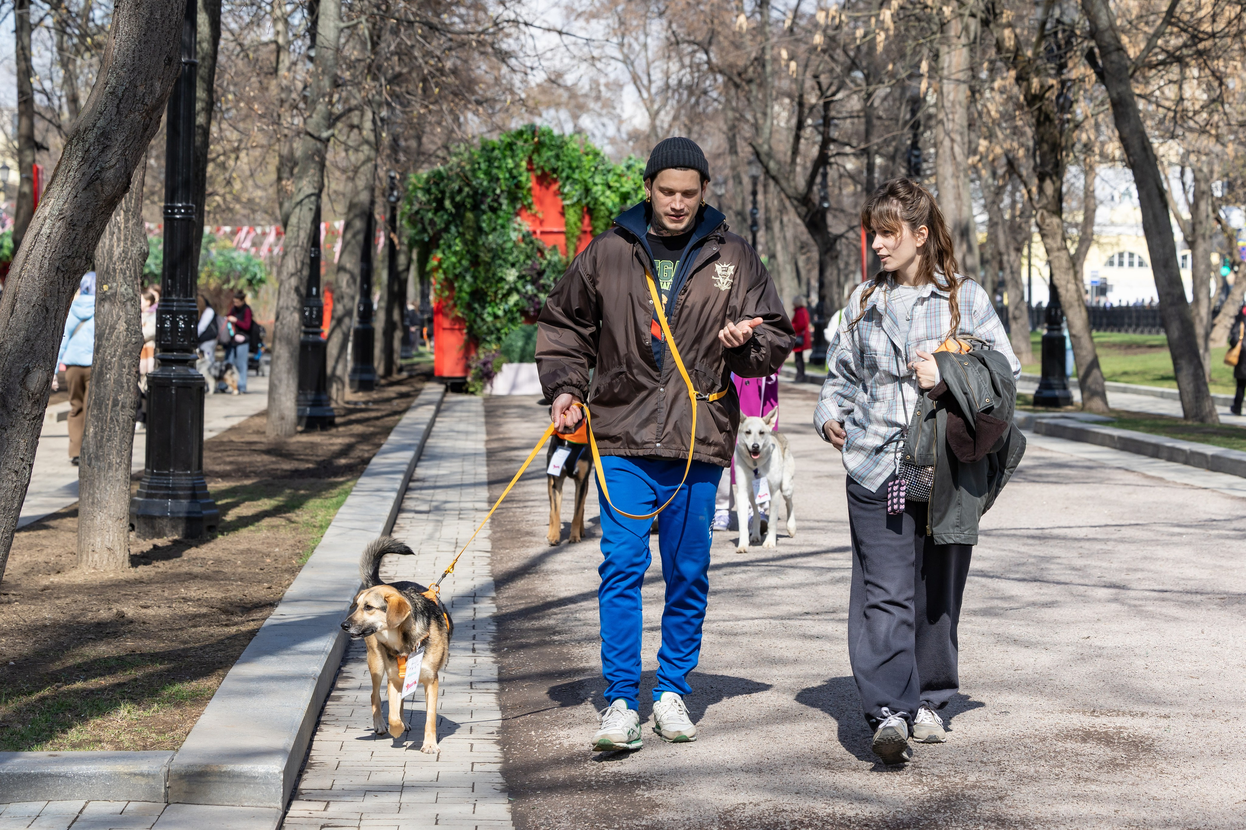 Проект «Моспитомец» на Тверском бульваре. Фотограф Владимир Охрименко