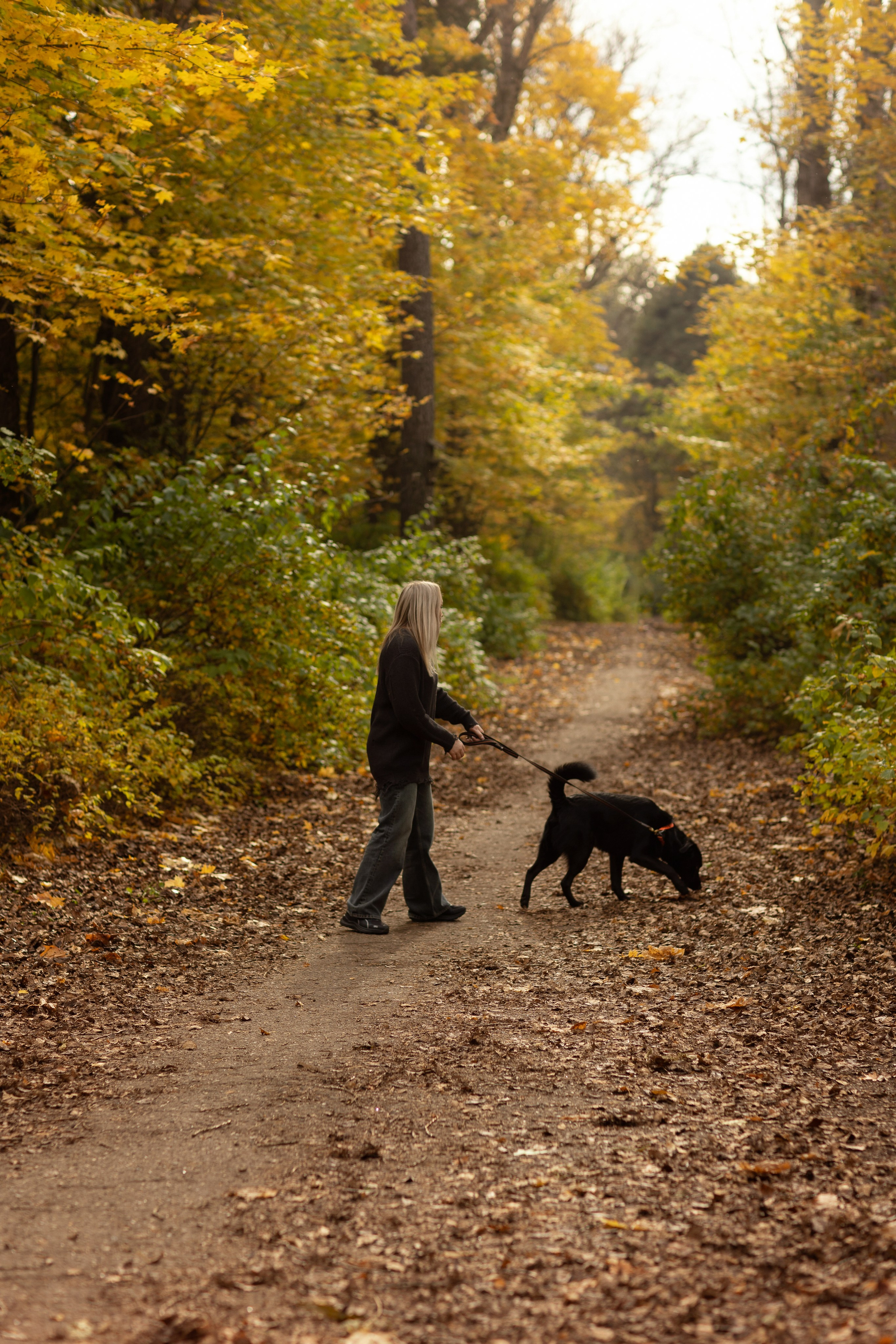 Анастасия и Балу. Фотограф — Анималист Наталья Тямушева
