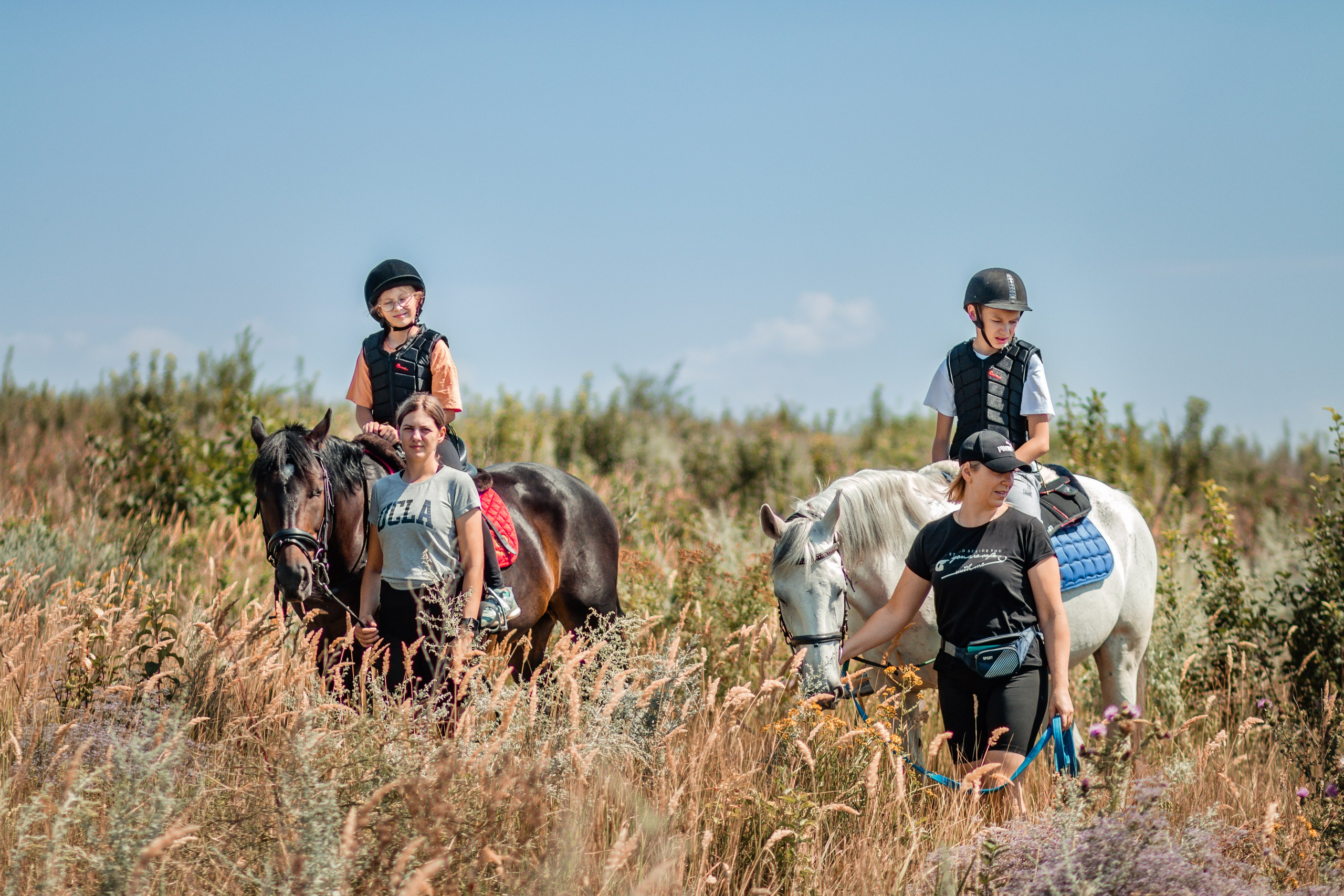 Выезды в поля на лошади