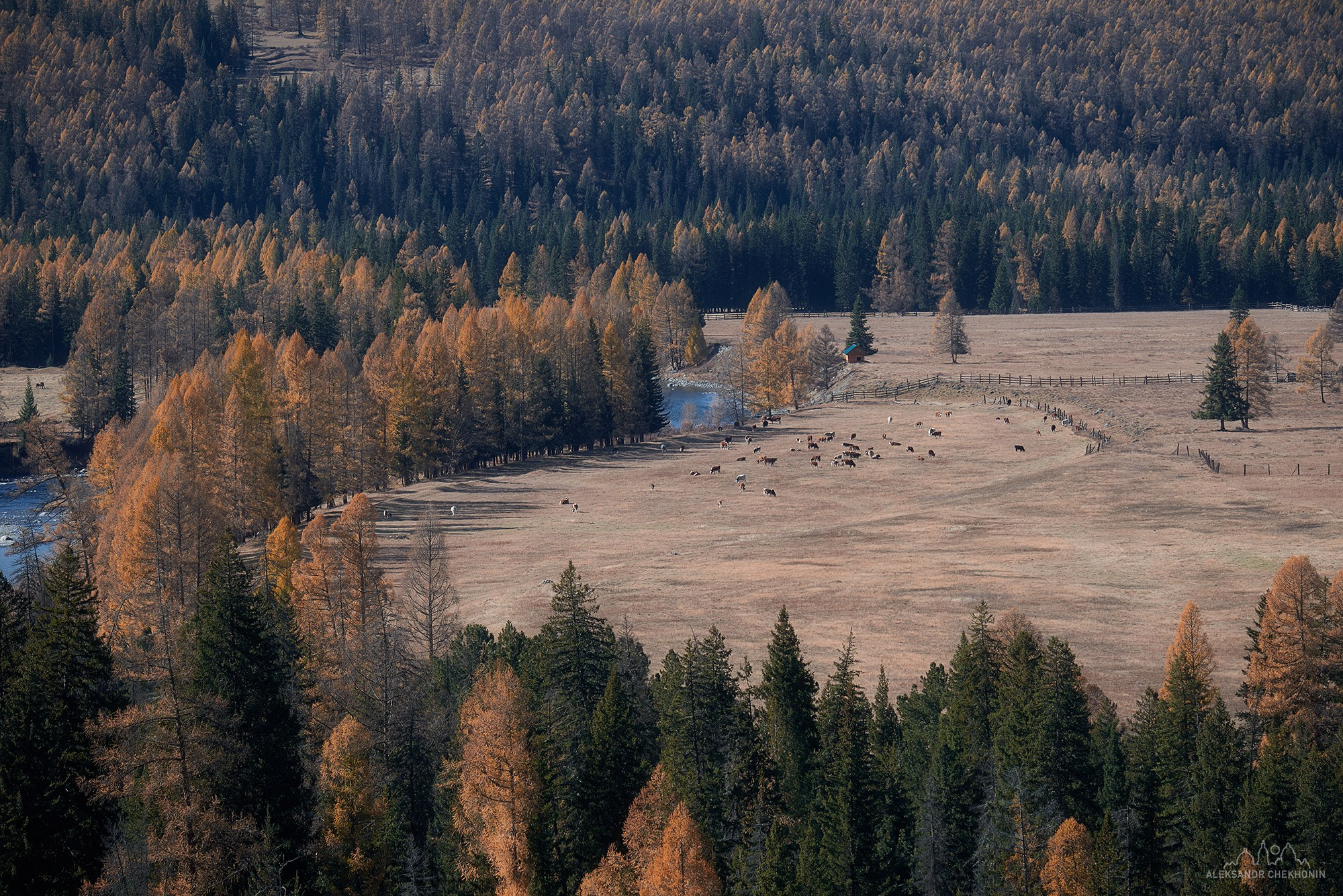 Пейзаж. Пейзажный фотограф Александр Чехонин