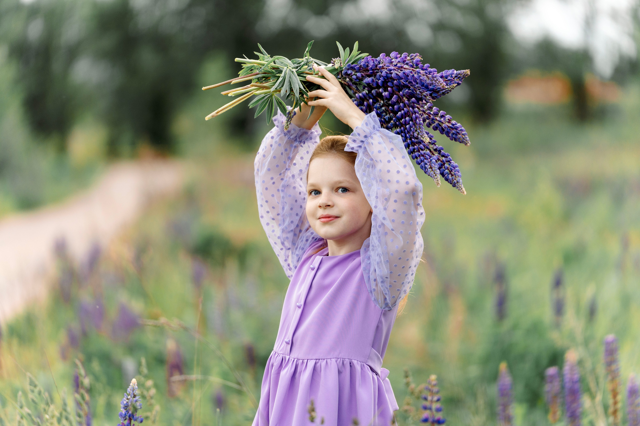 Люпины. Фотограф Юлия Попова