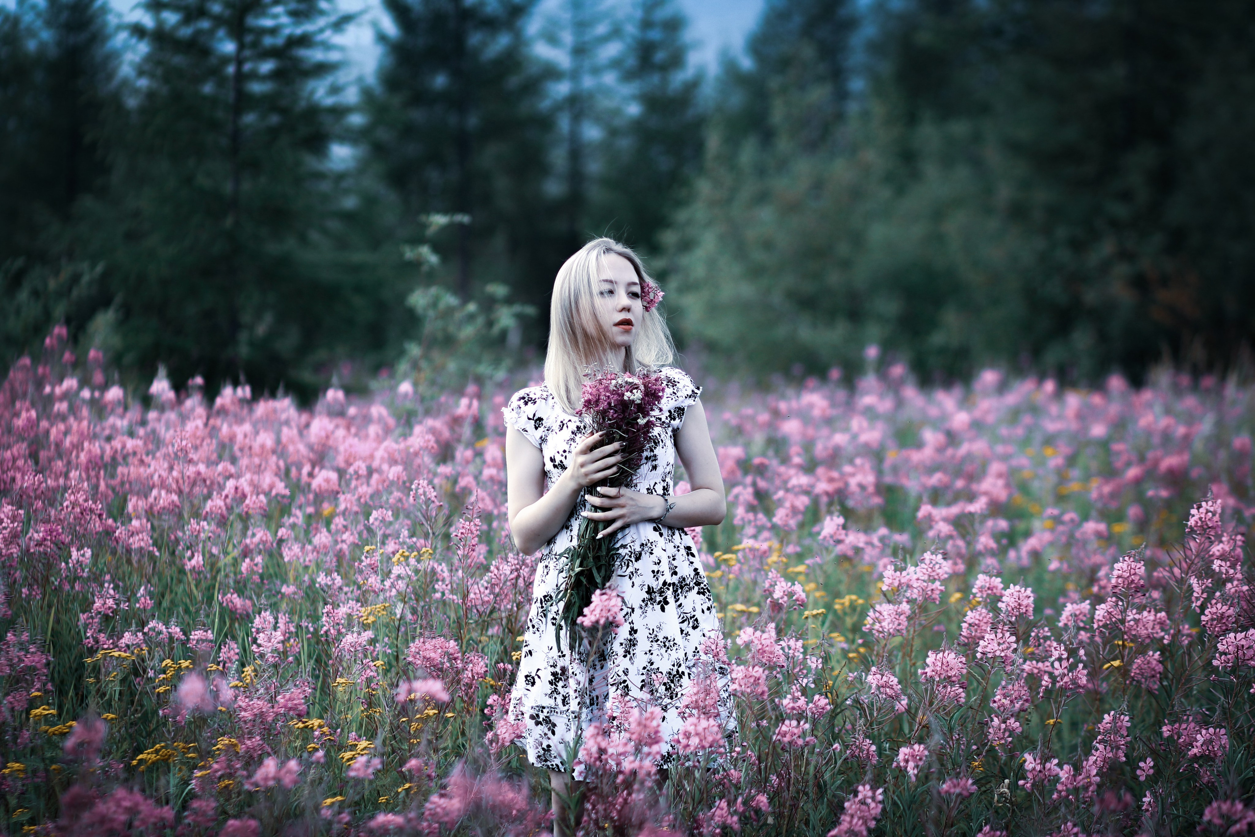 Алиса Томшина — Фотограф