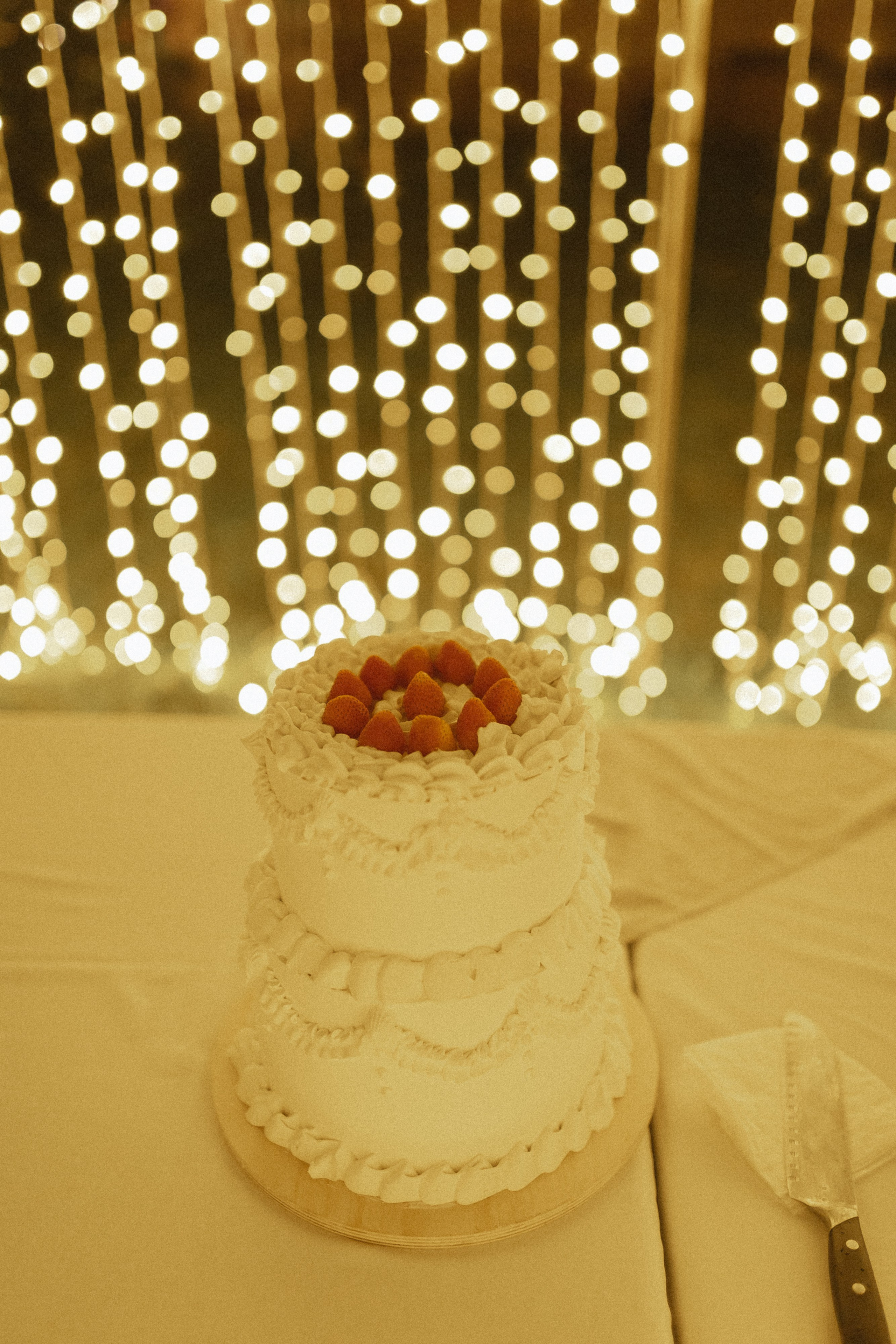 Wedding day Владимир & Алена. Свадебный фотограф Колесников Антон