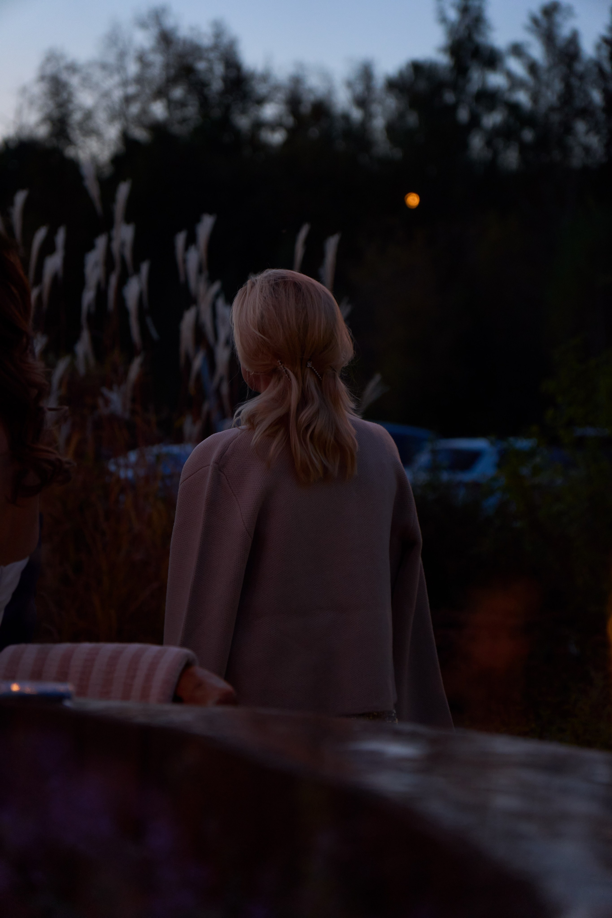 A. Свадебный фотограф Москва