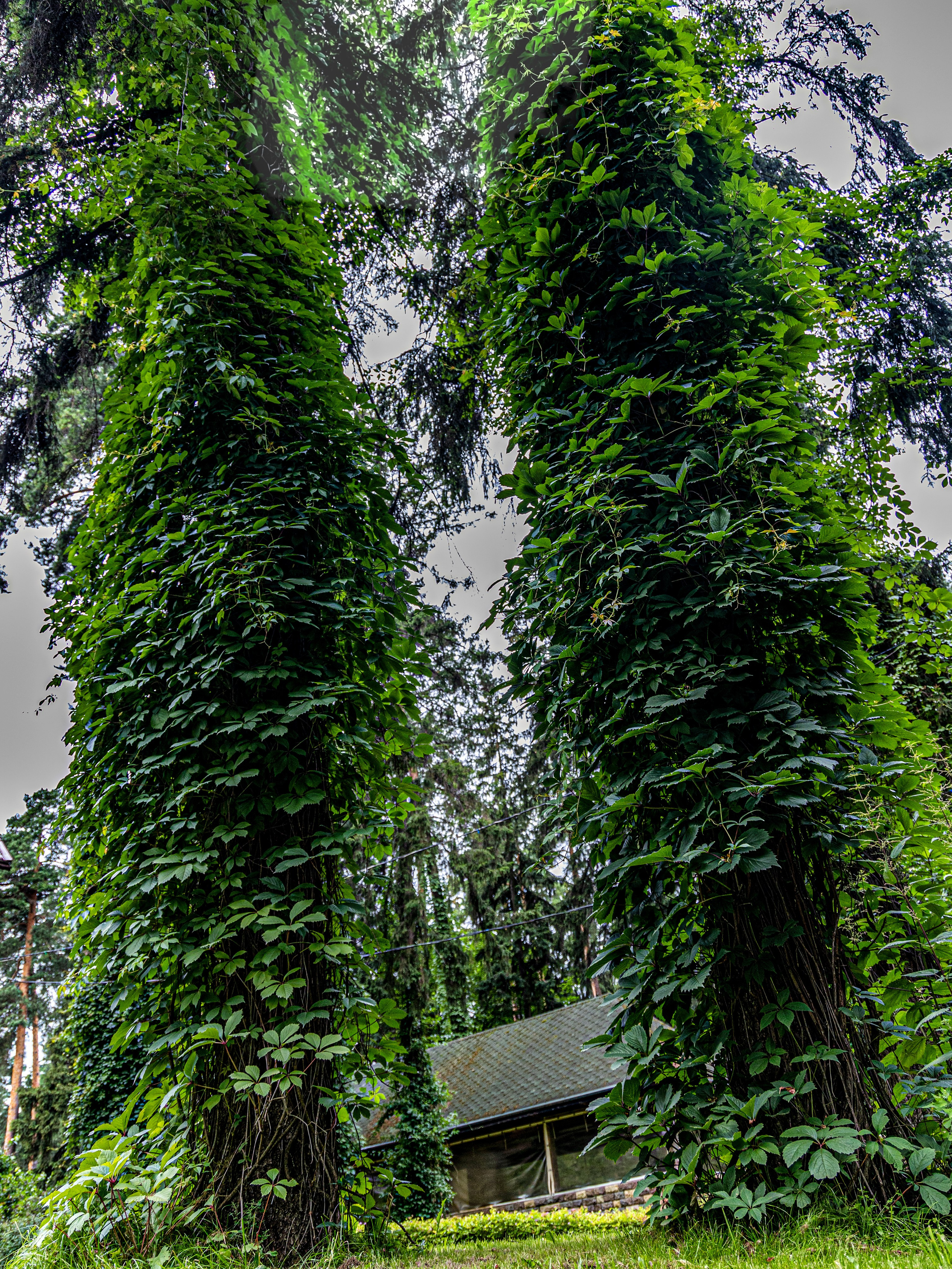 Фотограф Татьяна Марсуверских г. Жуковский, Москва и Мо. Репортажные съёмки, фотосессии. Детский, семейный фотограф. Фотограф для маркетплейсов, фотоуслуги в Жуковском Татьяна Марсуверских