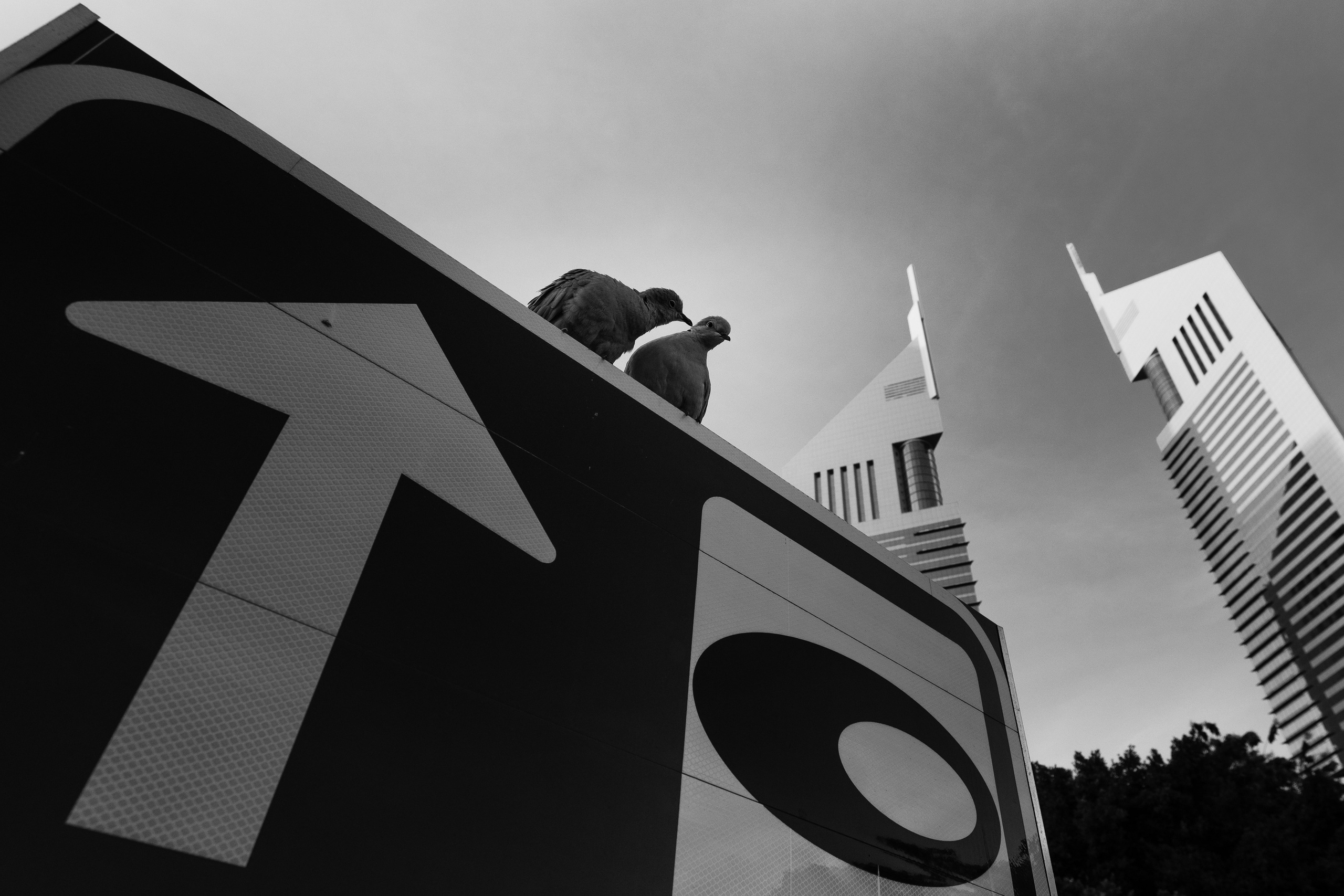 Дубай 2023. Руслан Плахтеев