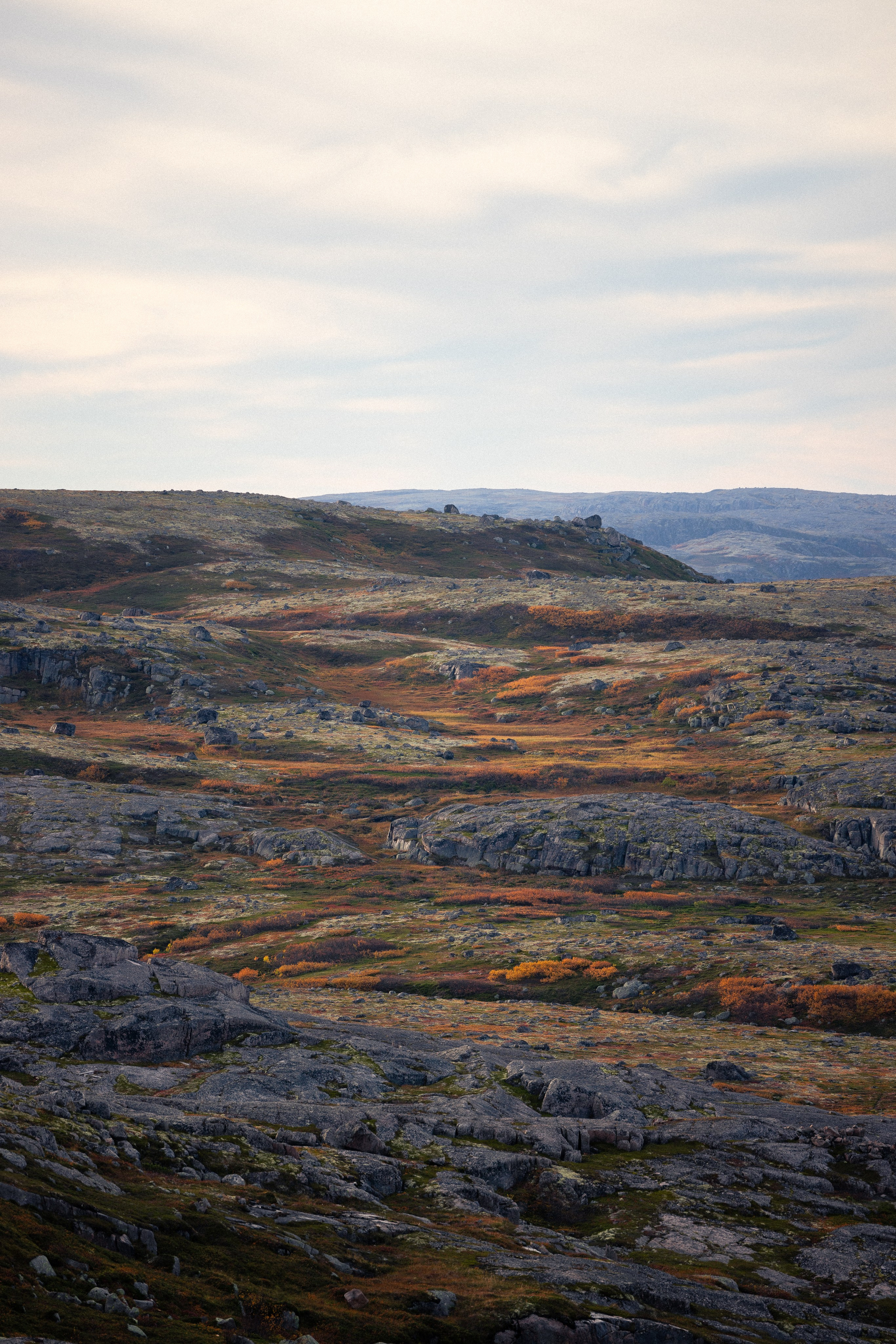 Кольский. Фотограф и видеограф анималист Аганина Дарья