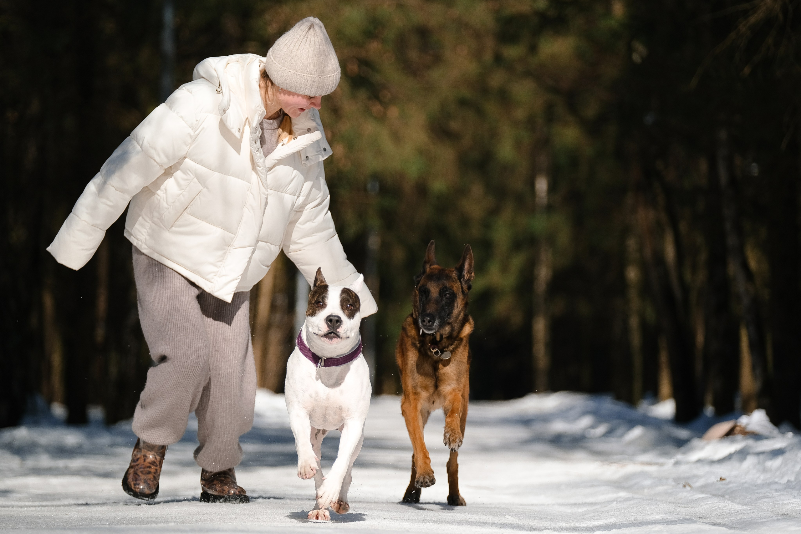 Женя, Афра и Молли. Фотограф и видеограф анималист Аганина Дарья