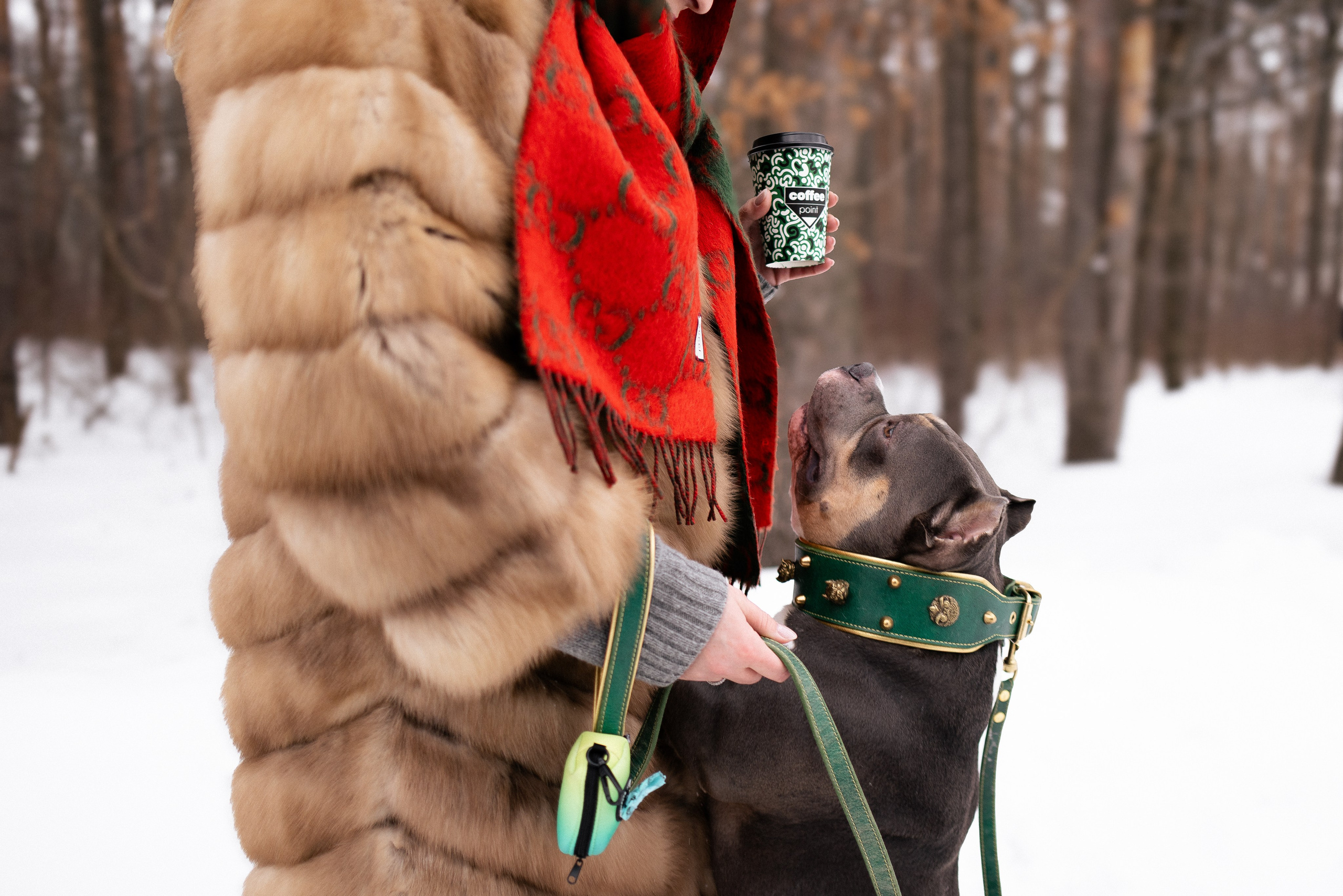 Лера и Наган. Фотограф и видеограф анималист Аганина Дарья