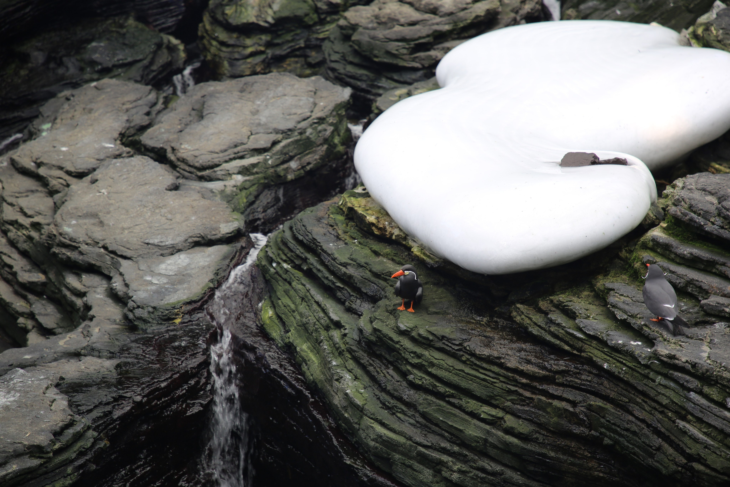 Lisbon, Portugal. Andrey Filippov Photographer