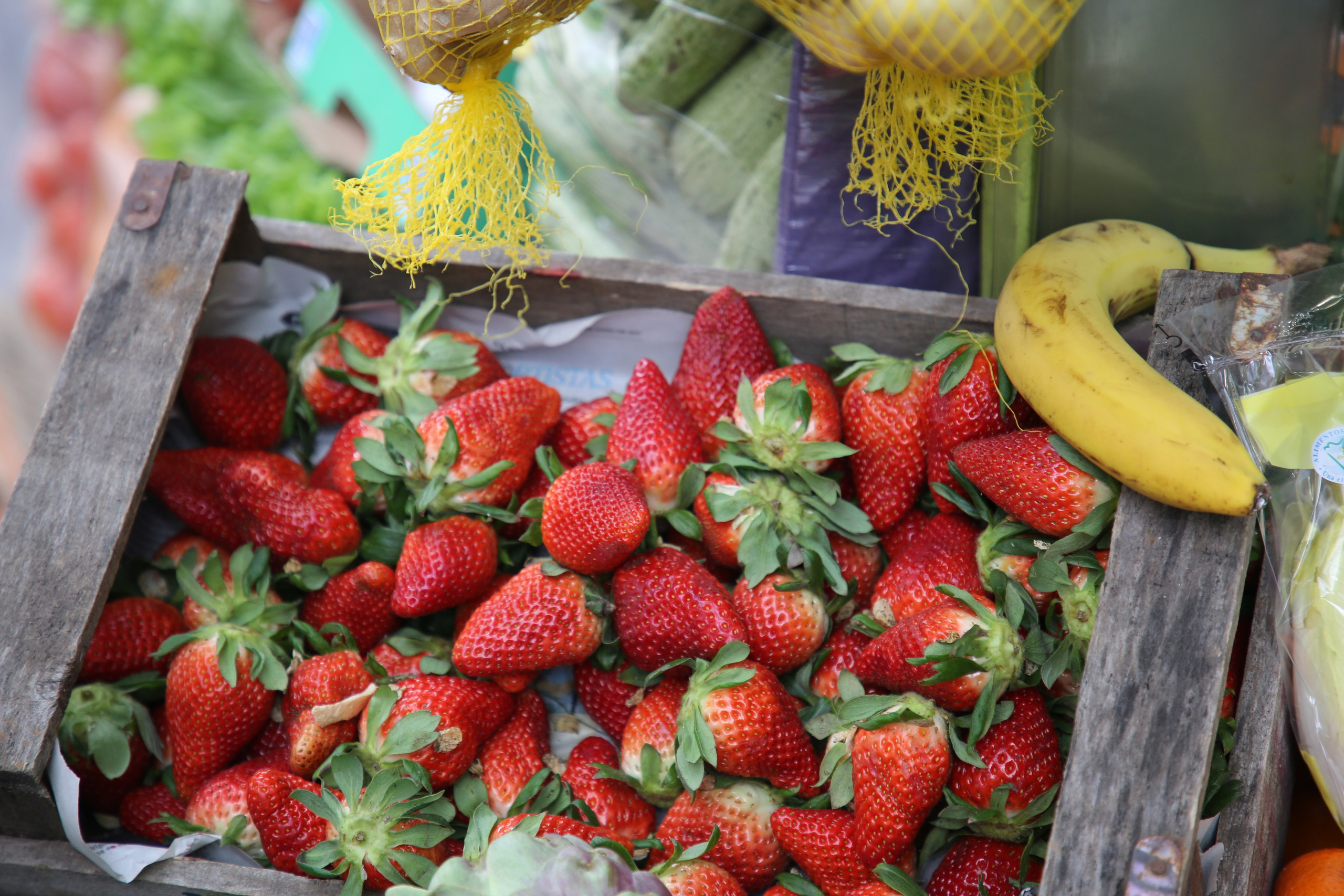 Buenos Aires, Argentina. Andrey Filippov Photographer