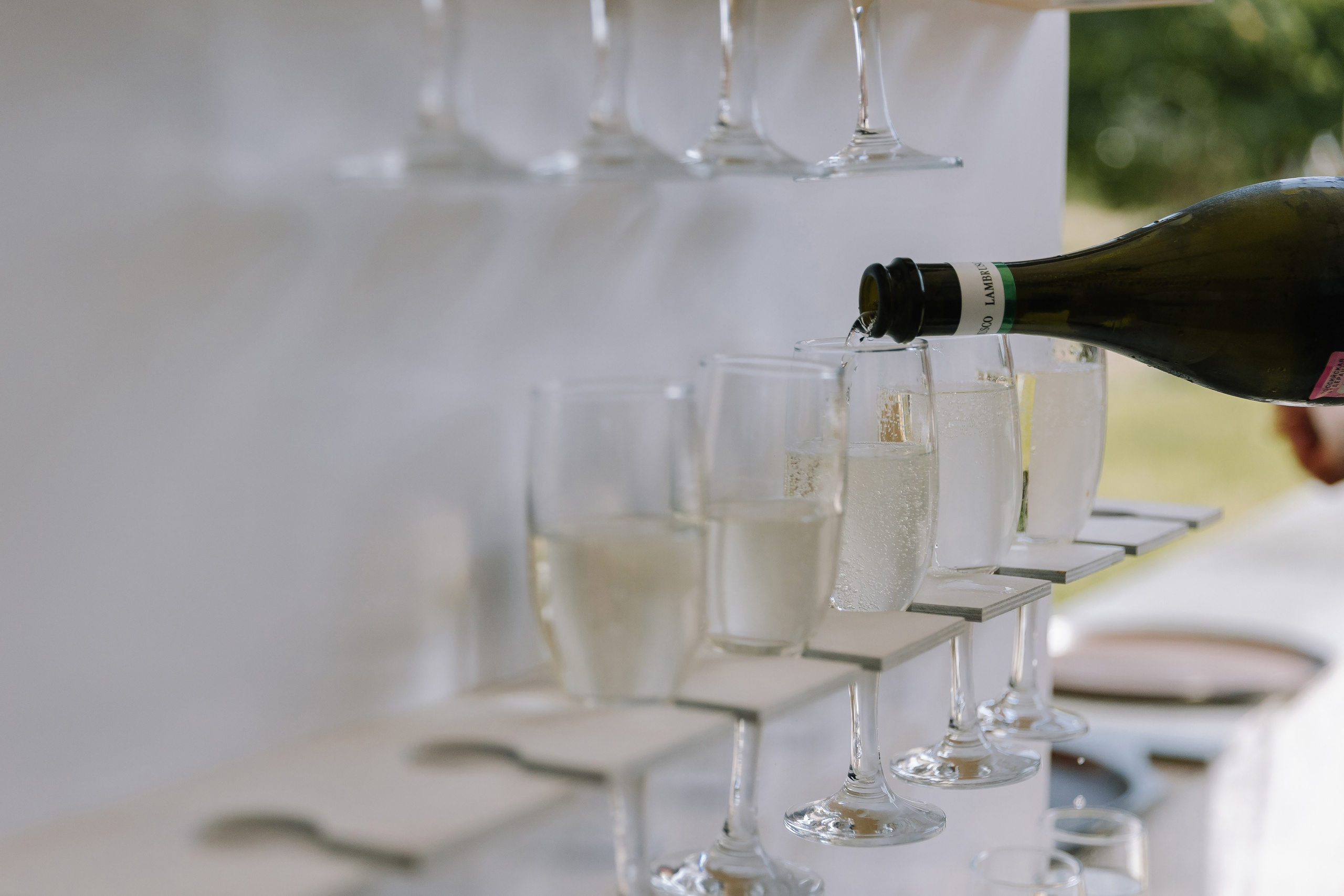 Бабочки. Фотограф Елена Краснопевцева