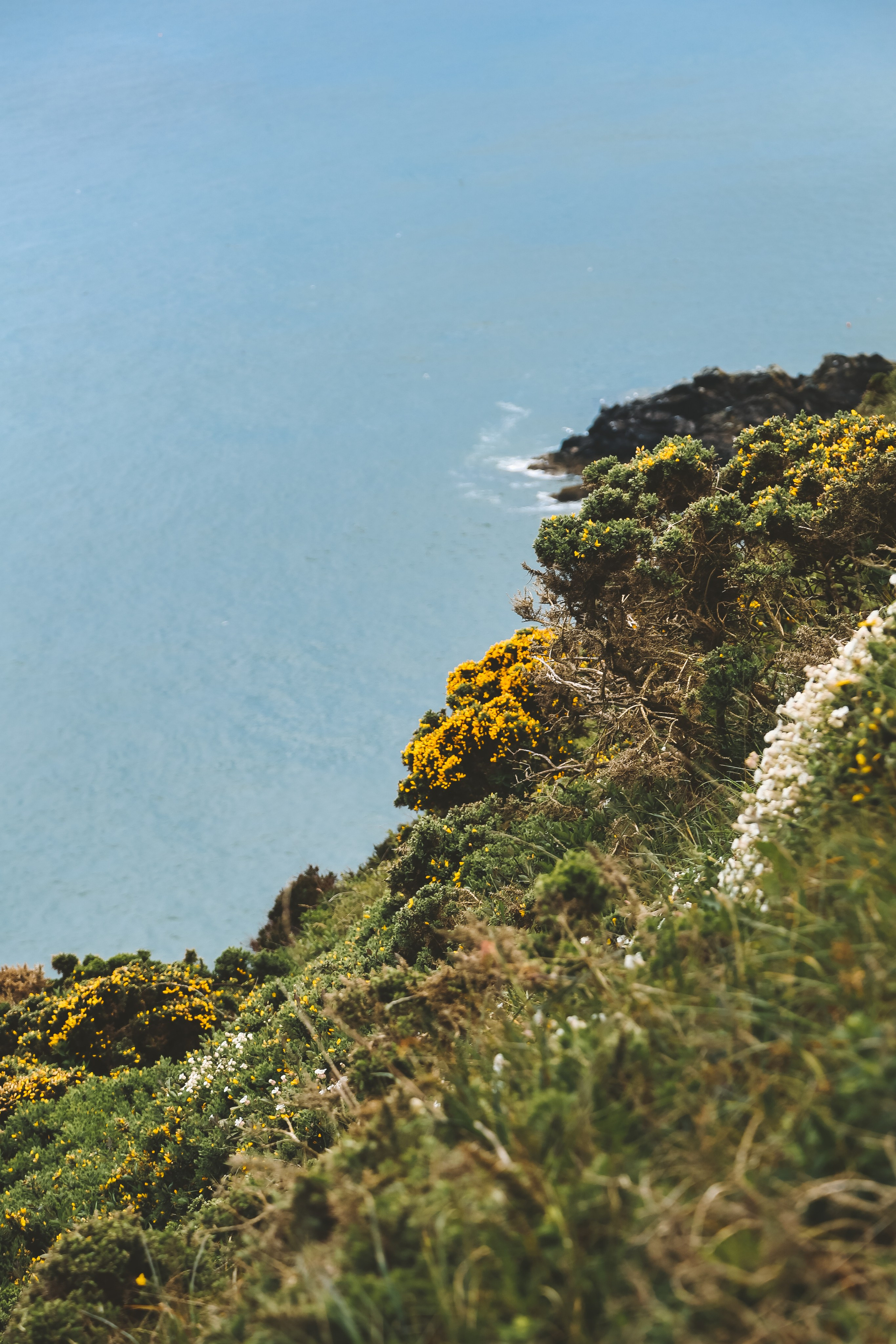 Ирландия: Хоут — тропинка на одного. Дарья Письменюк / Darya Leitstern — фотограф, музыкант, журналист, путешественник