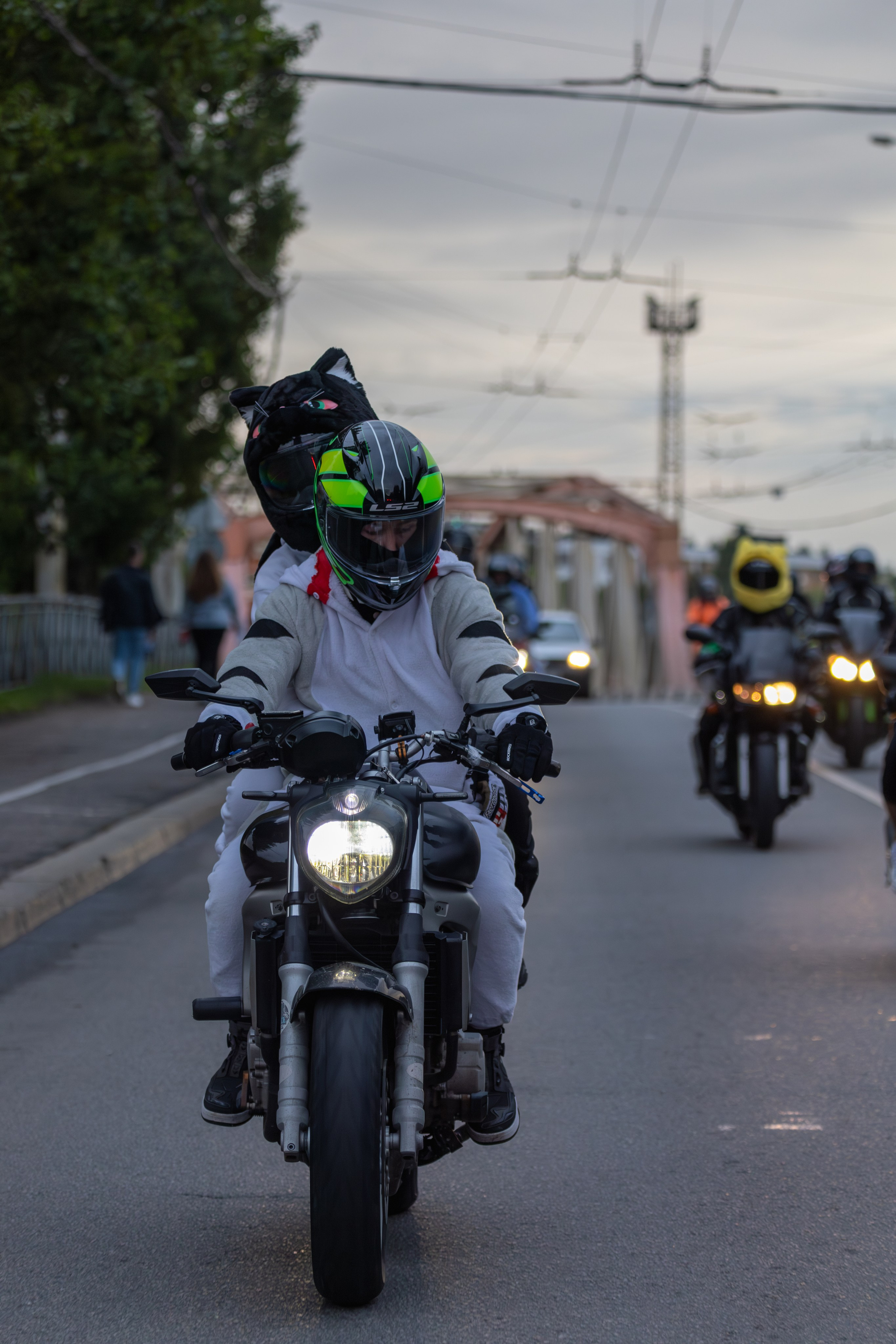 Закрытие Летнего сезона — 2025. — Digital Noise —