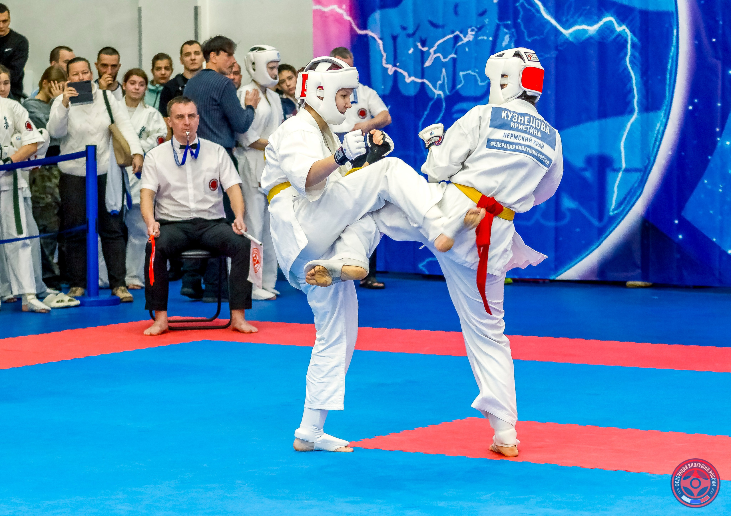 Международный турнир по киокушин «Открытый кубок Seiken». Репортажная съемка в Москве и области. Анималистика