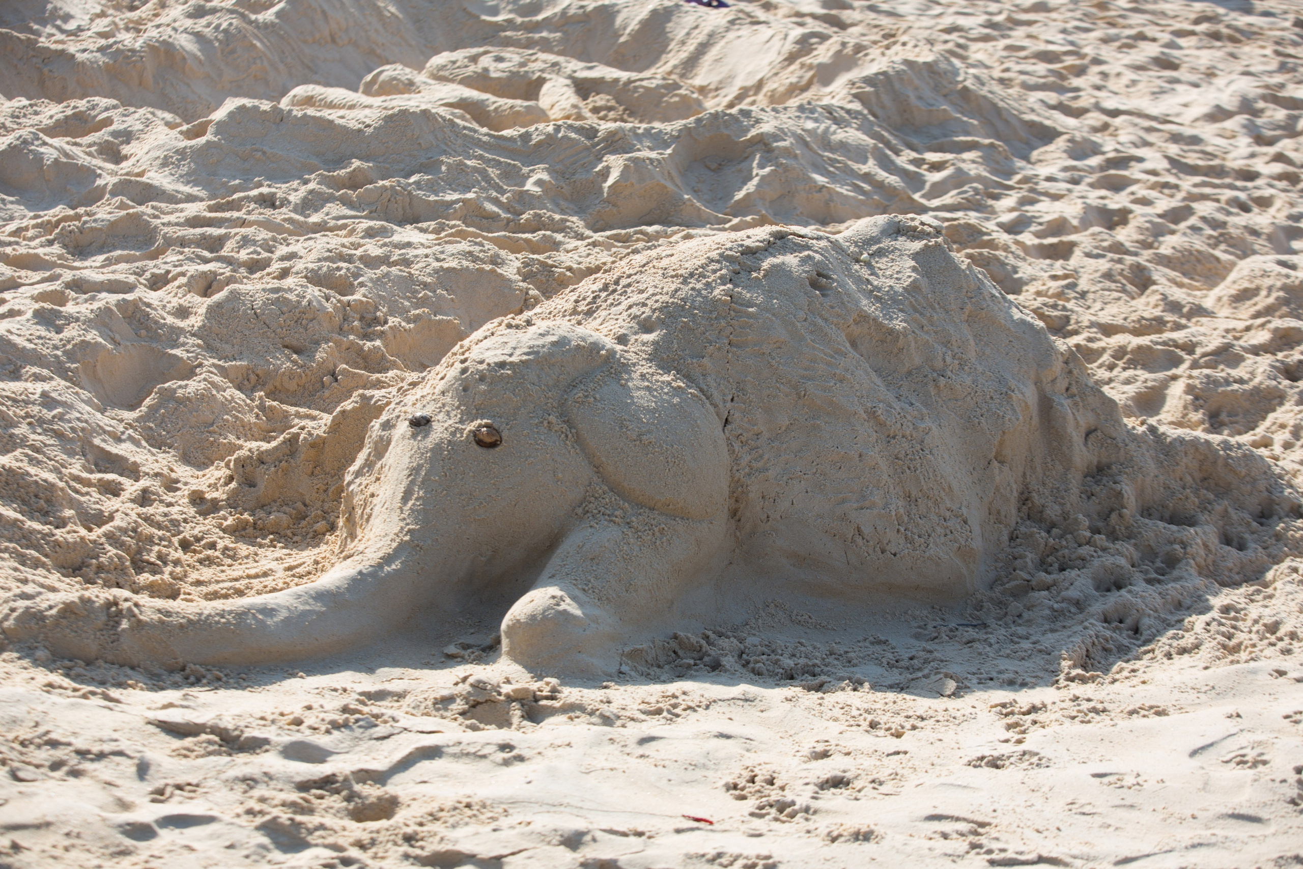 Фото Тайланда. Студия Максима Белослюдцева