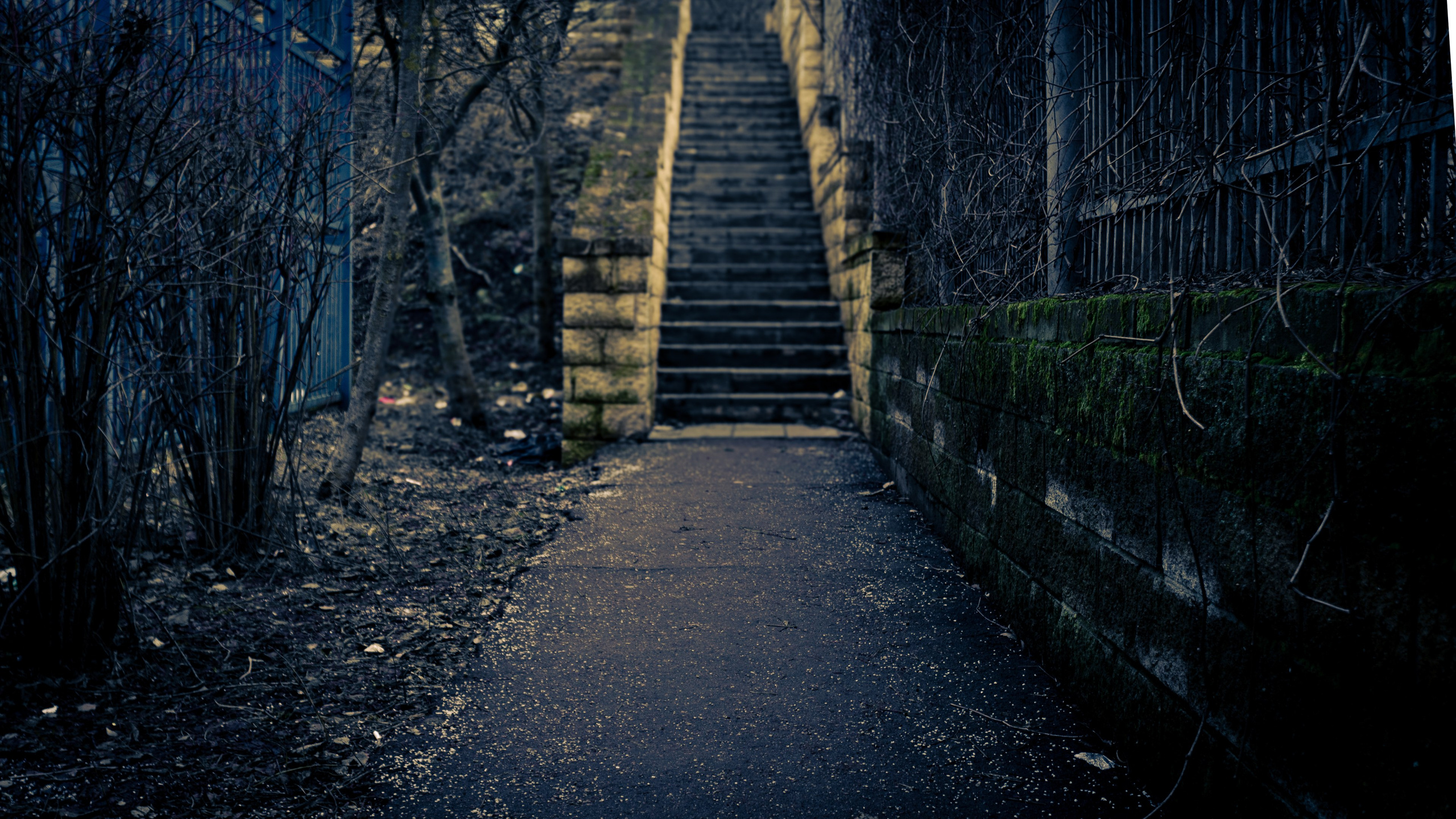 Сырость января 25-го. ПОБУДЬ ЗДЕСЬ И ЦЕЛЕЕ БУДЕТ ЭТОТ МИР